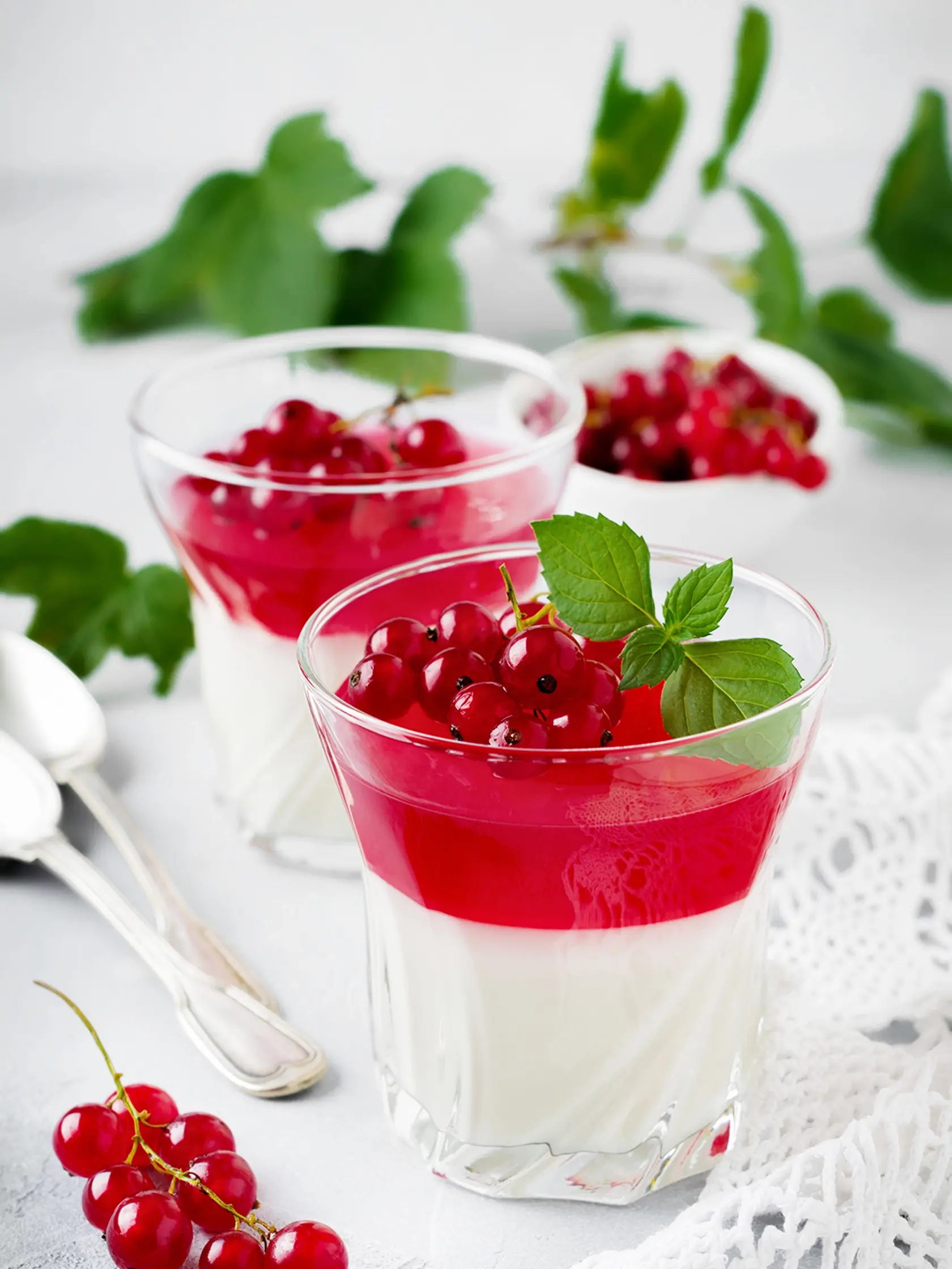 Kokosová panna cotta s ríbezľami