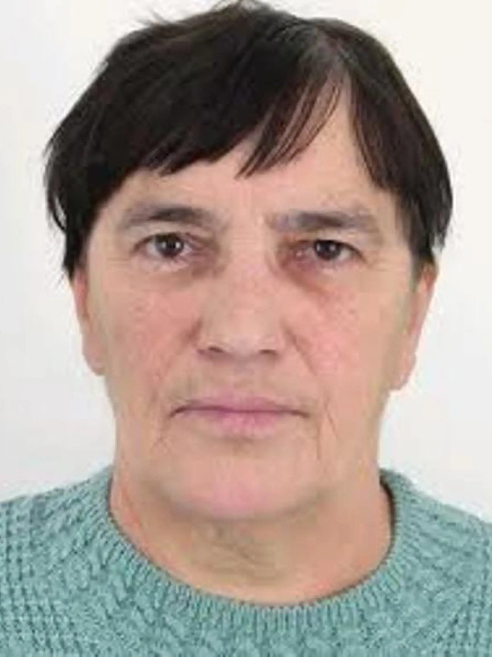 ANNA NEDZBALOVÁ: Nezvestná je od júla 2011, vtedy mala 60 rokov.