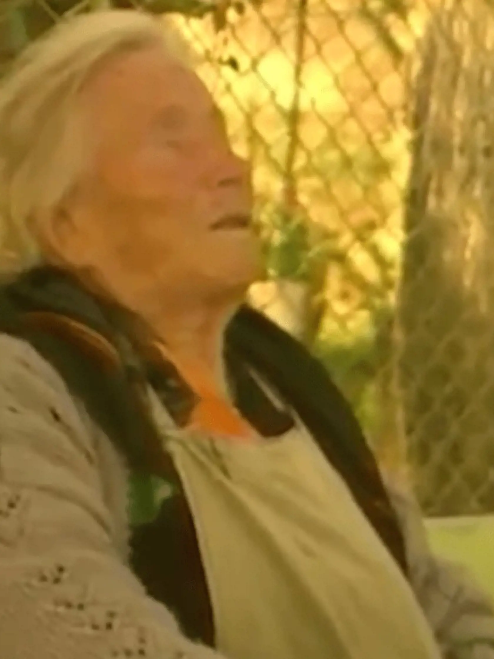 Baba Vanga