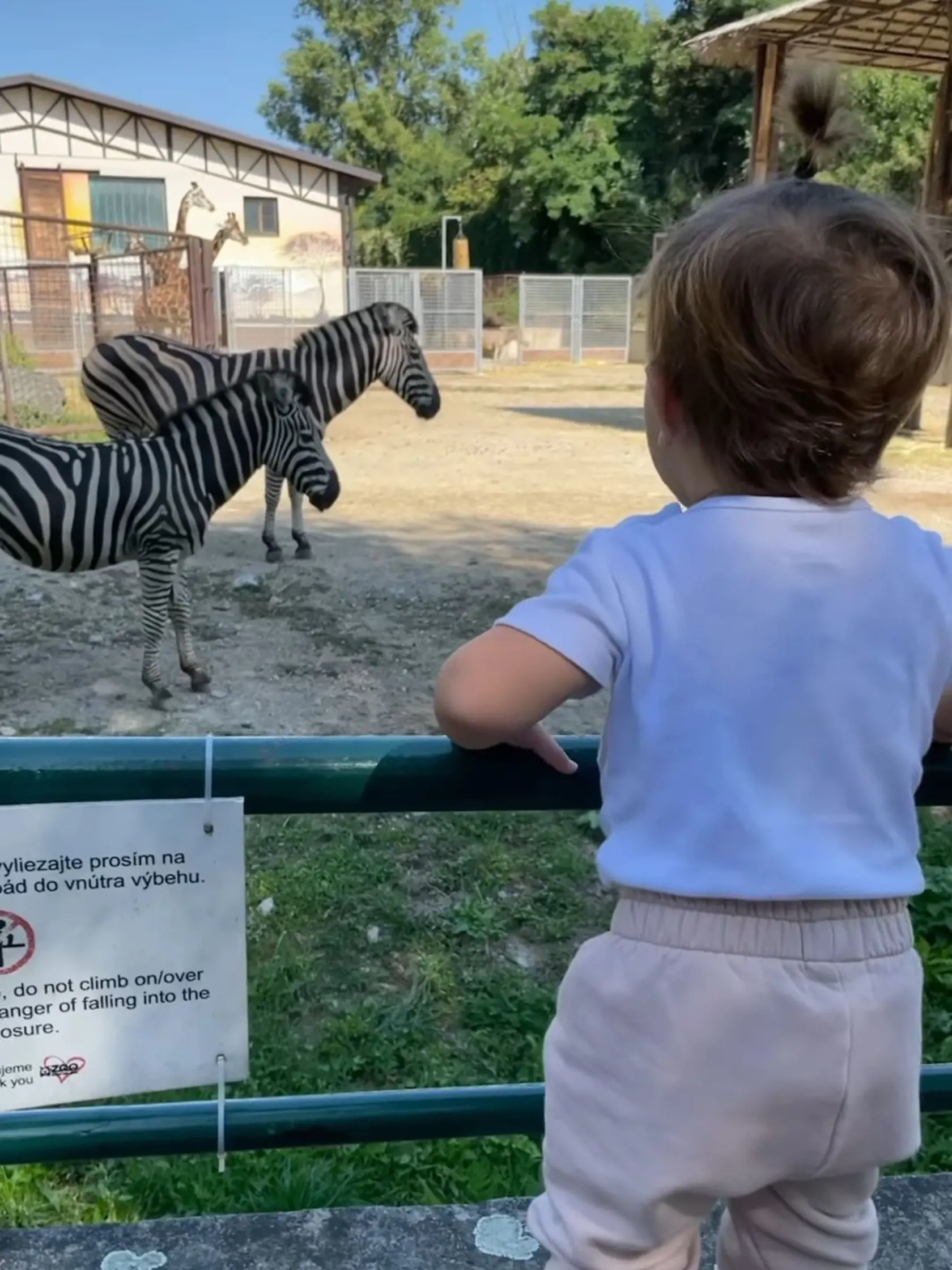 V stredu si Dominika s manželom Michalom a synčekom Jakubkom užili návštevu zoologickej záhrady v Bratislave.