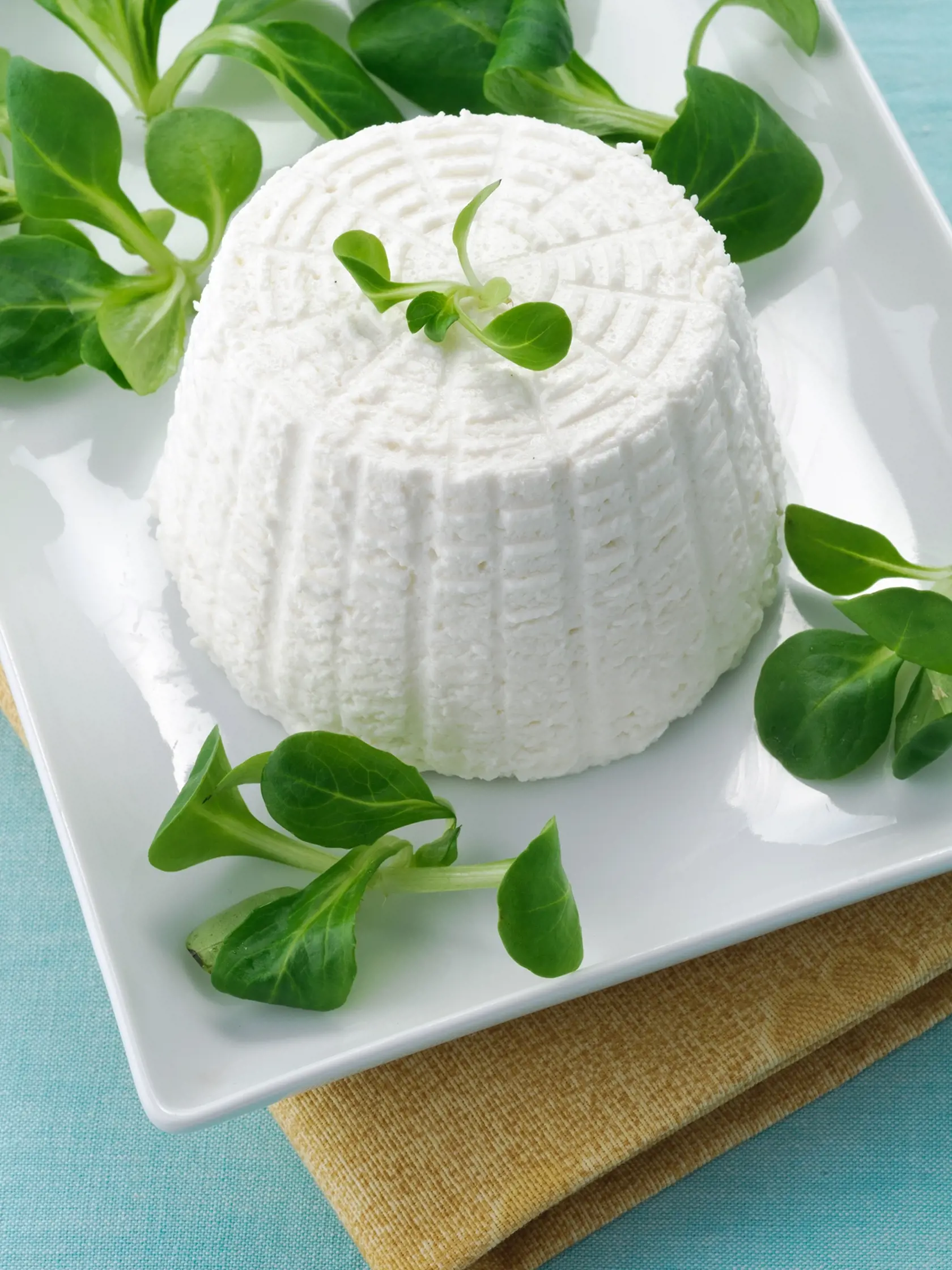 Ricotta