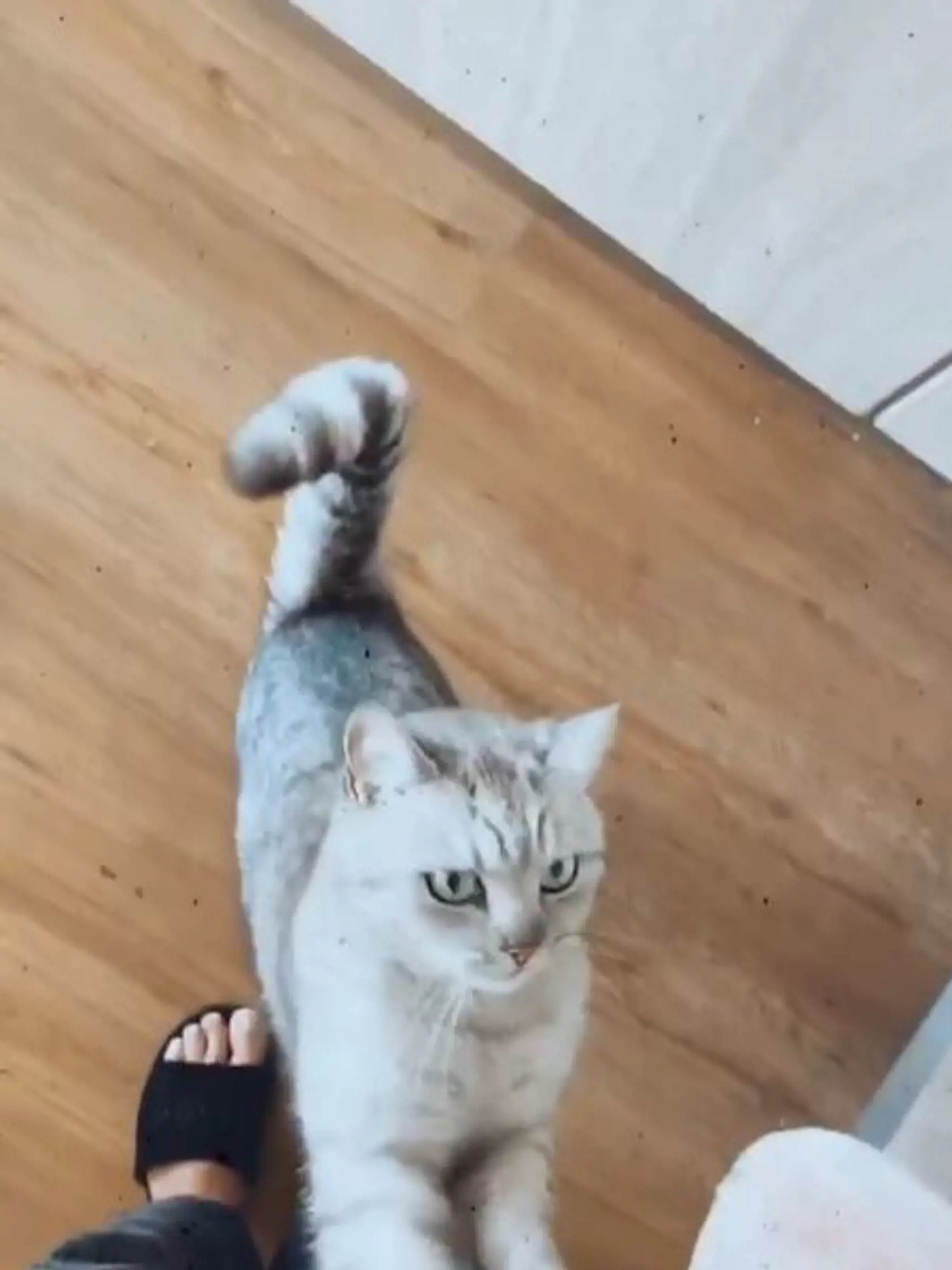 Dom vizážistky Lucie Sládečkovej na Slnečných jazerách v Senci.