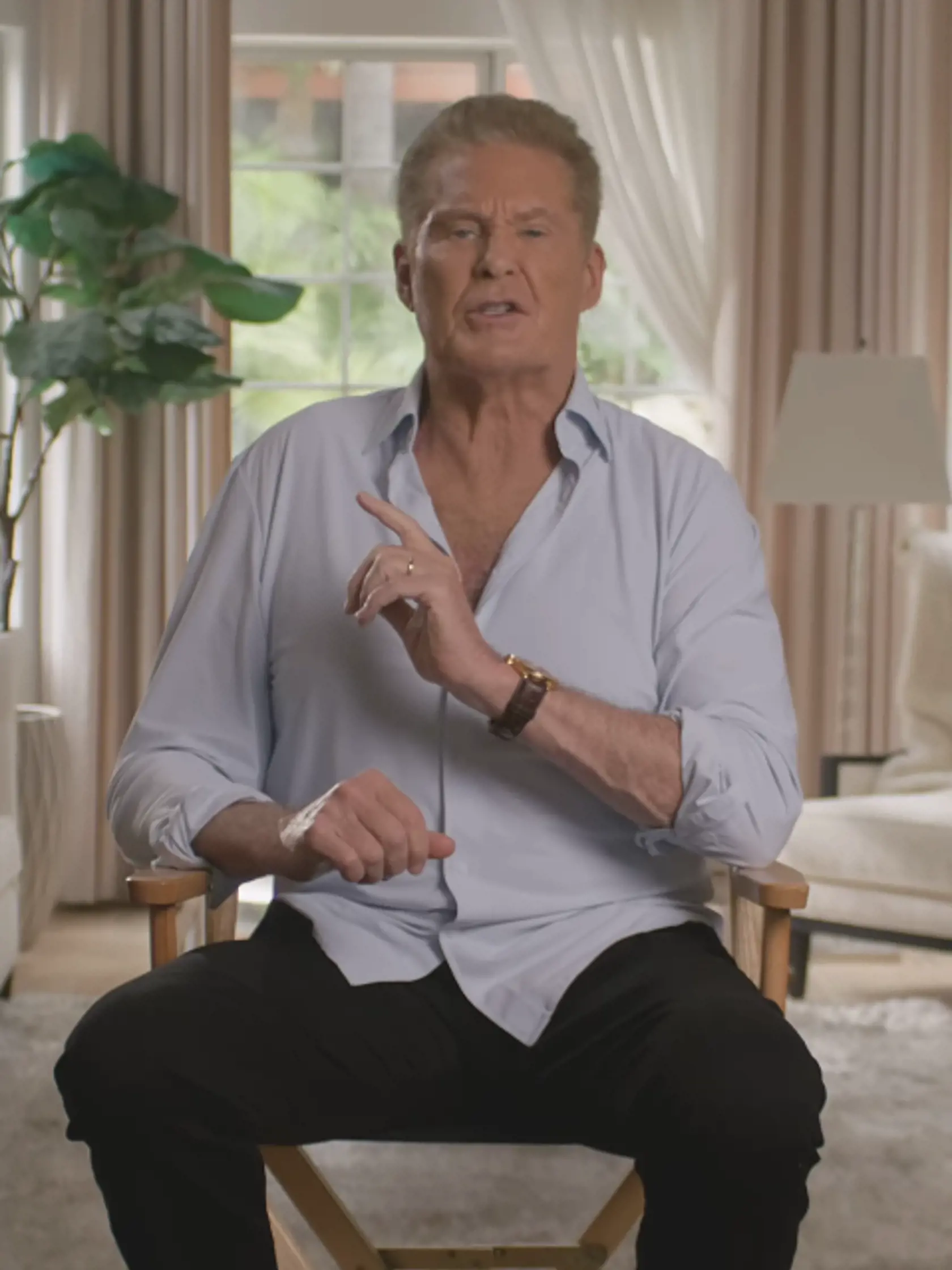 David Hasselhoff dnes.