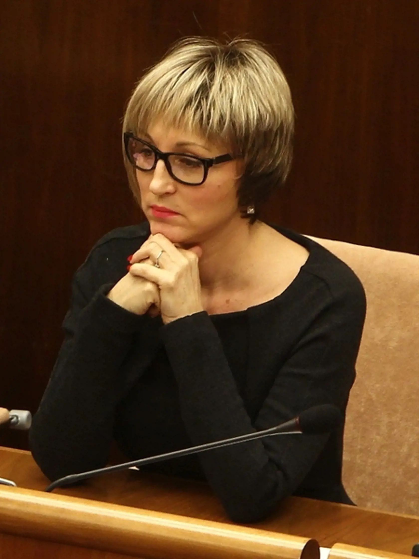 Zmajkovičová: Kratšie vlasy jej pristanú.