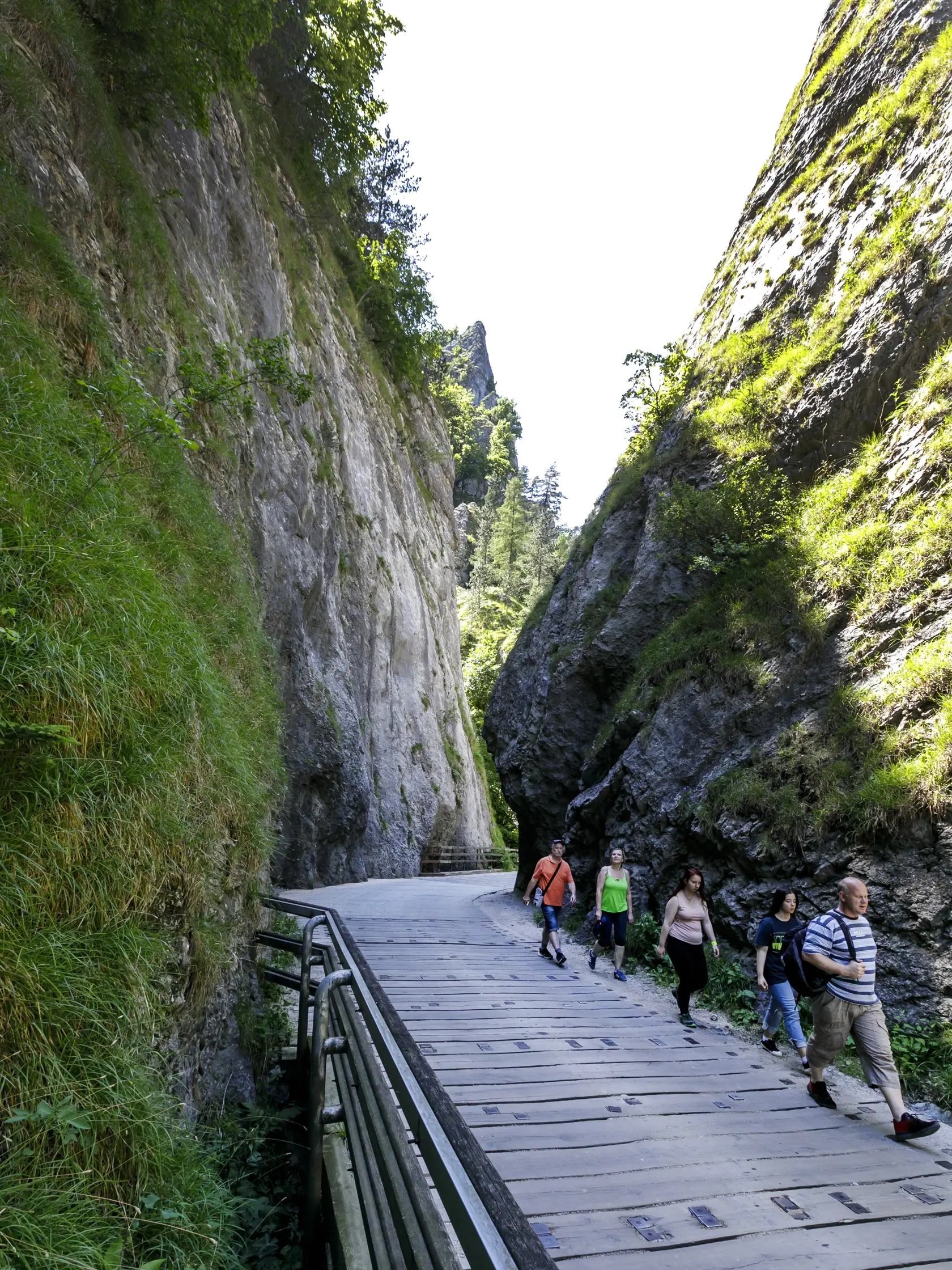 Na snímke peší turisti prechádzajú cez Manínsku tiesňavu 18. júna 2022. FOTO TASR - Dano Veselský