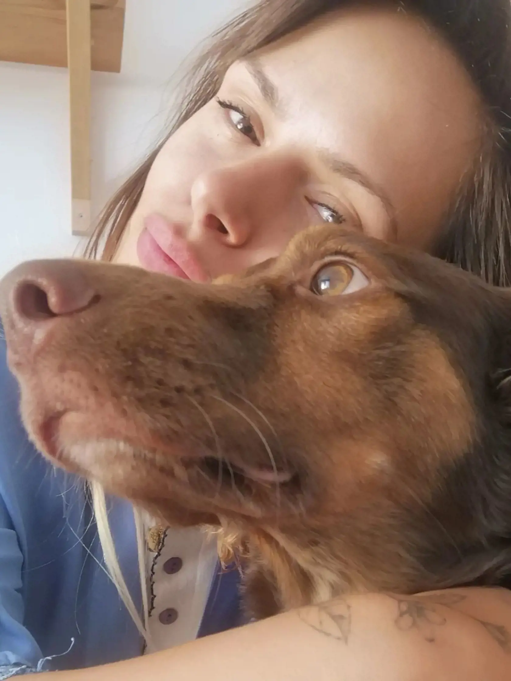Kristína rada trávi čas so svojím čokoládovým psíkom.