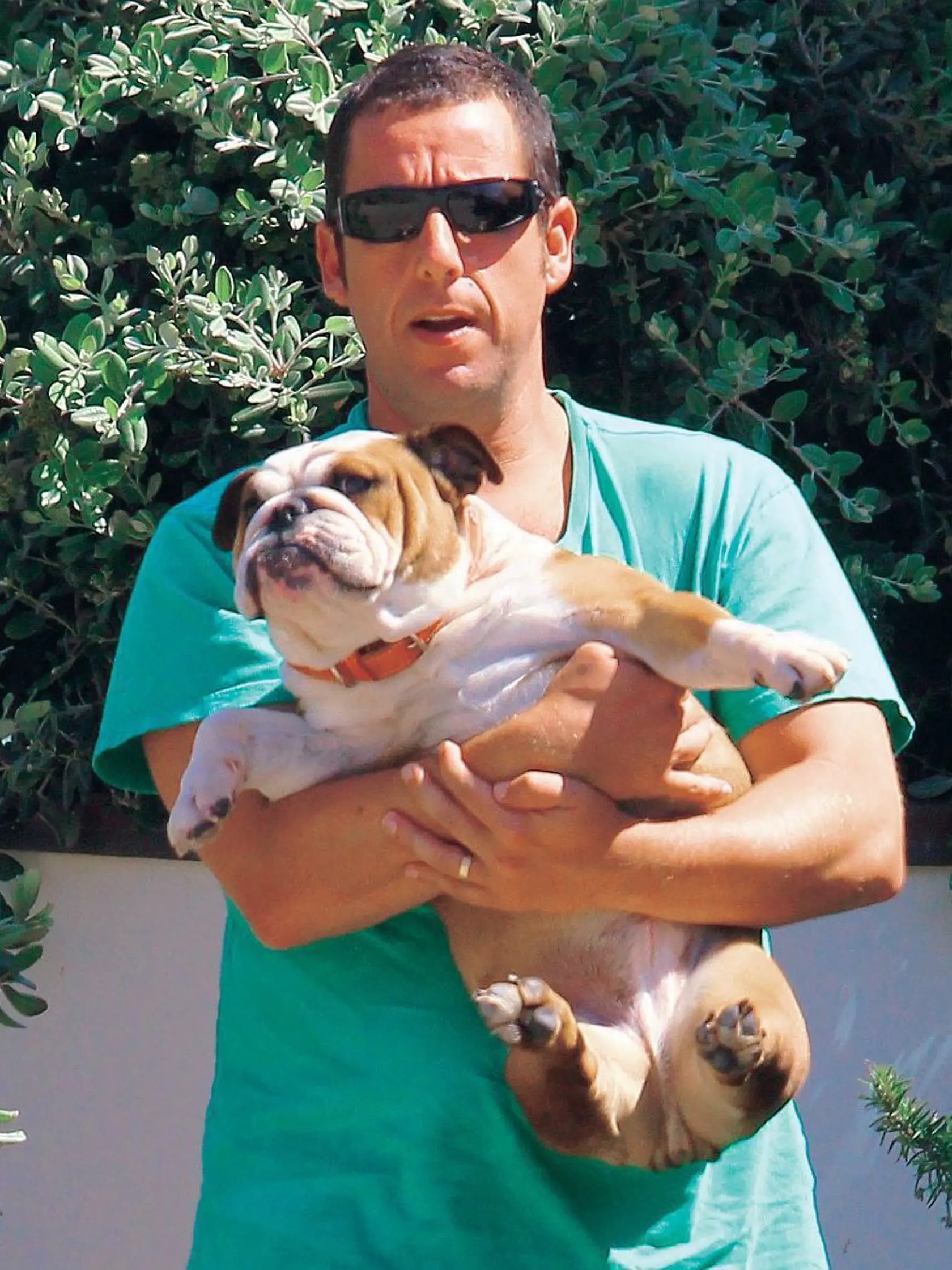 Adam Sandler
