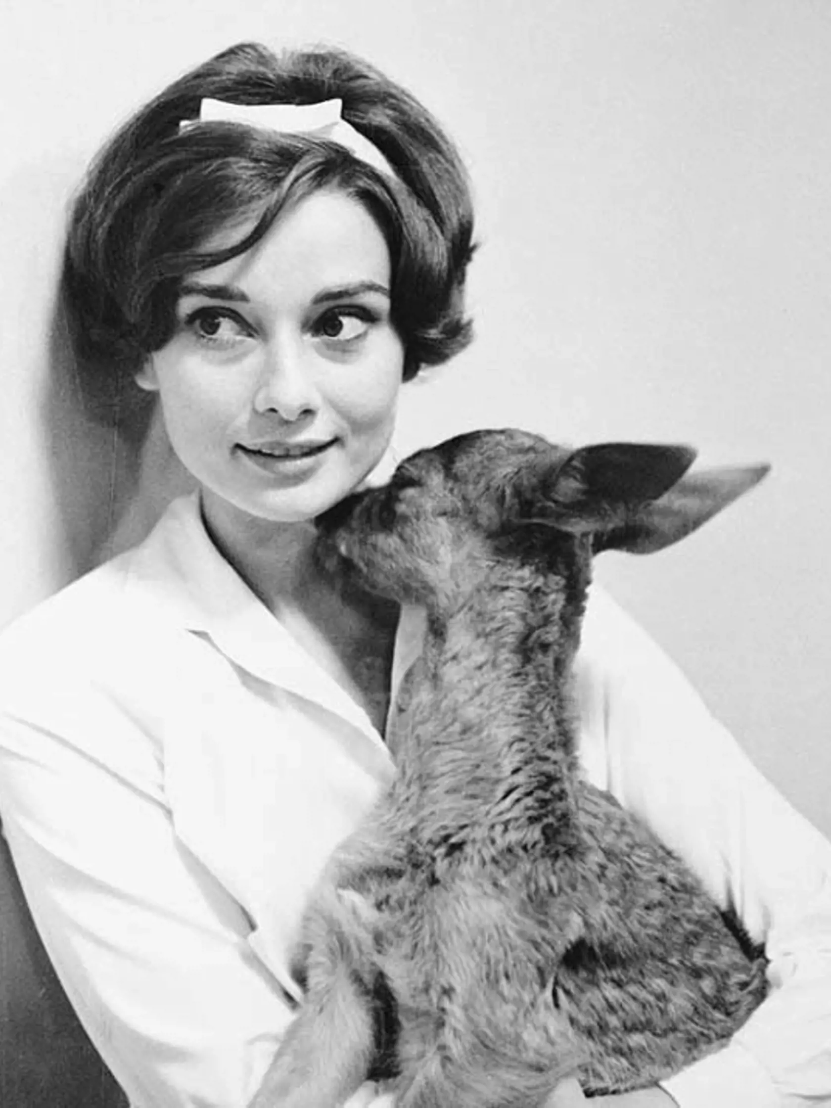 Audrey Hepburn sa mojká so svojím domácim zvieratkom – srnkou (1958). 