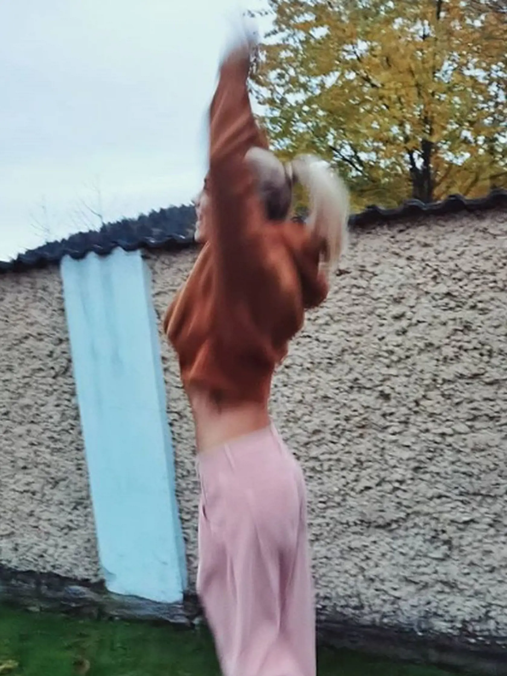 Dara Rolins