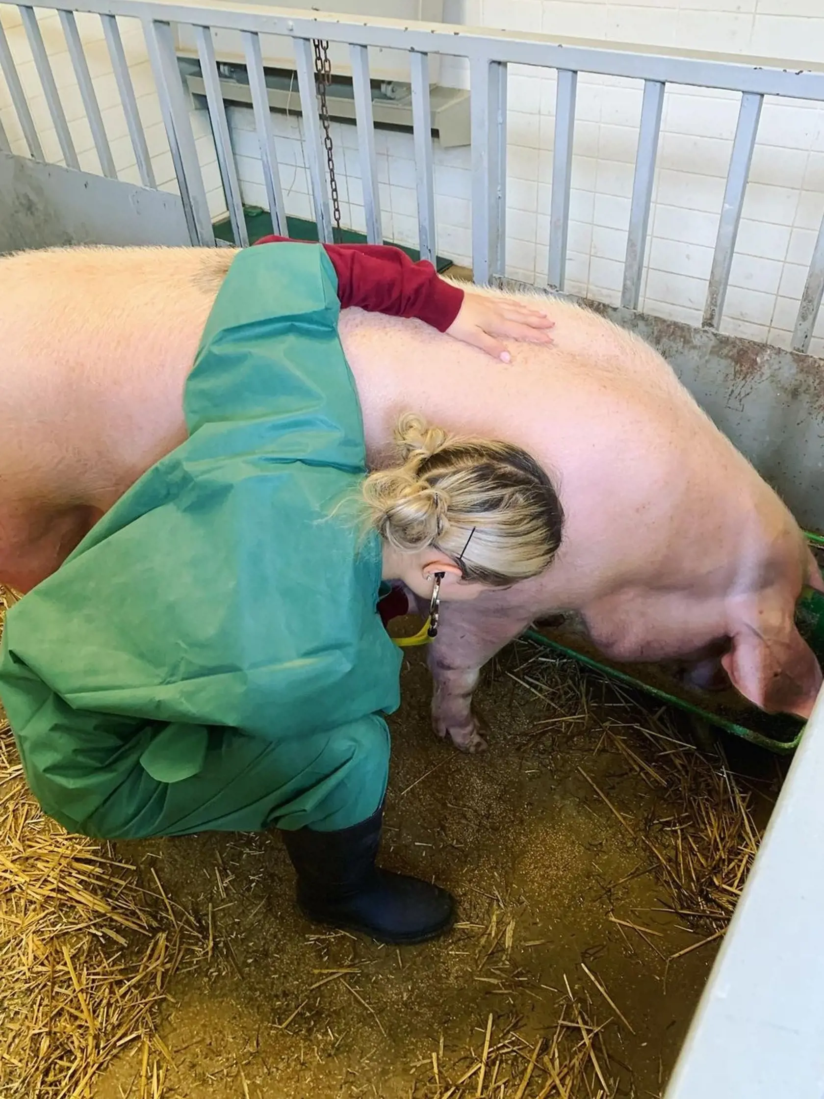 Hoci by dala prednosť šoubiznisu, vždy pre zvieratá tu bude vždy, tvrdí pôvabná Mirka.
