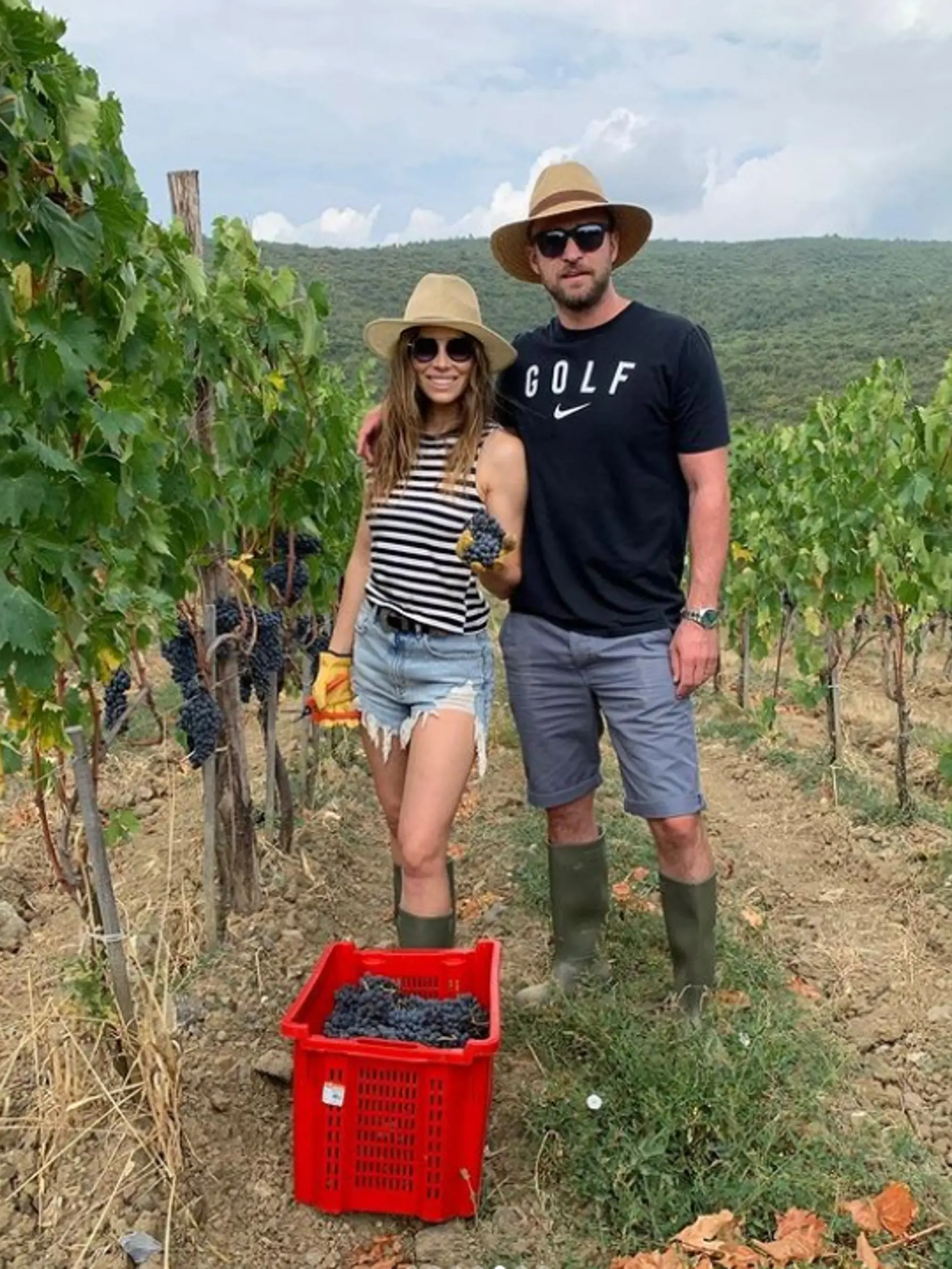 Justin a Jessica sa nevyhýbajú ani manuálnej práci, v danom prípade vo vinici. Tmavé hrozno vyzerá veľmi lákavo.