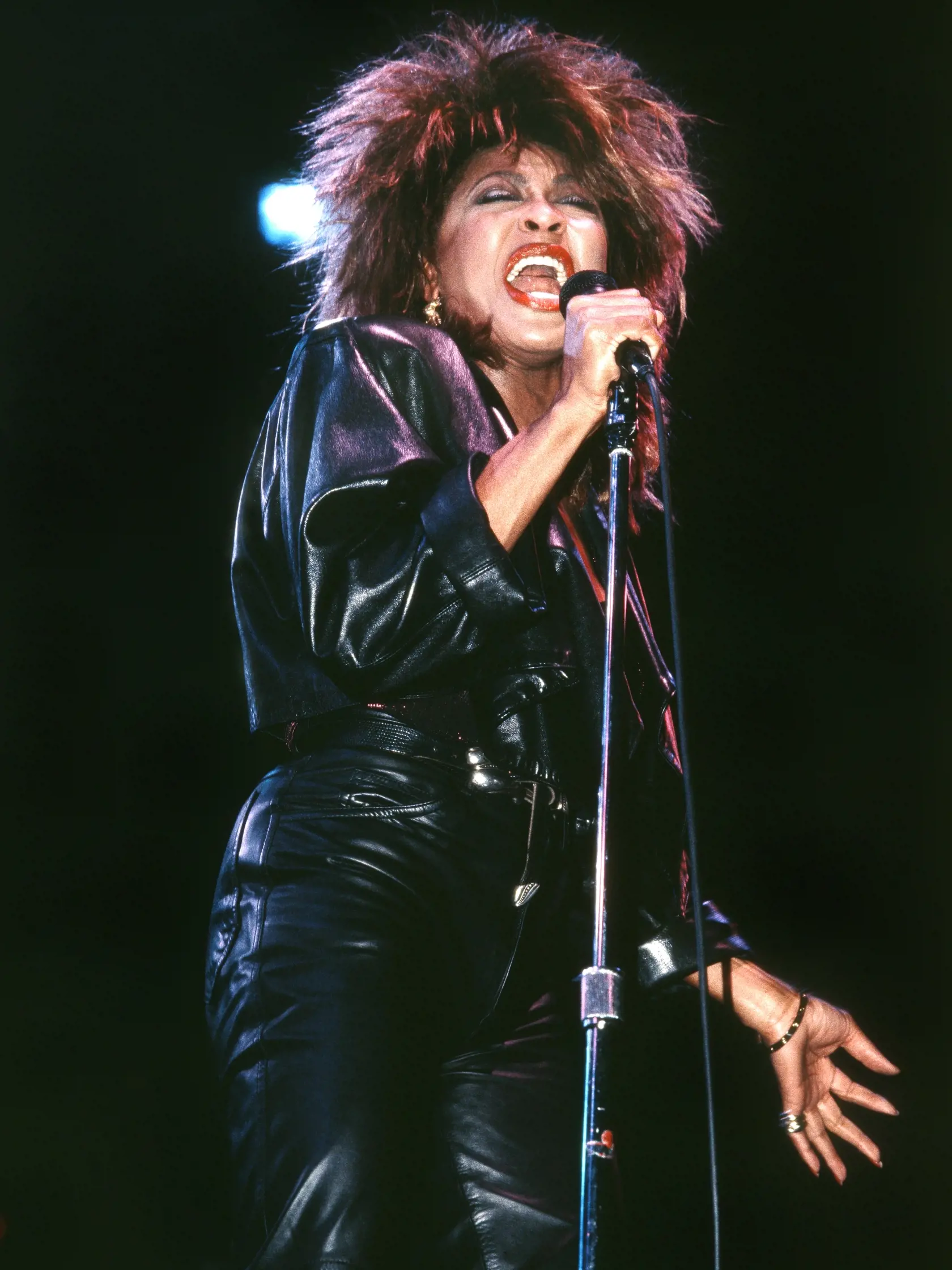 Speváčka Tina Turner
