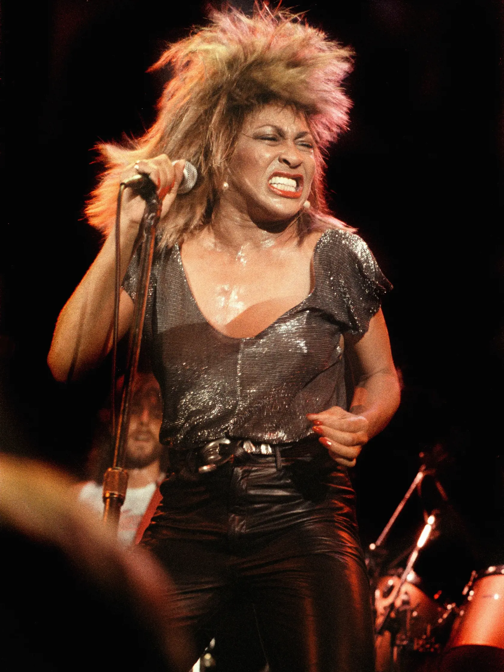 Speváčka Tina Turner