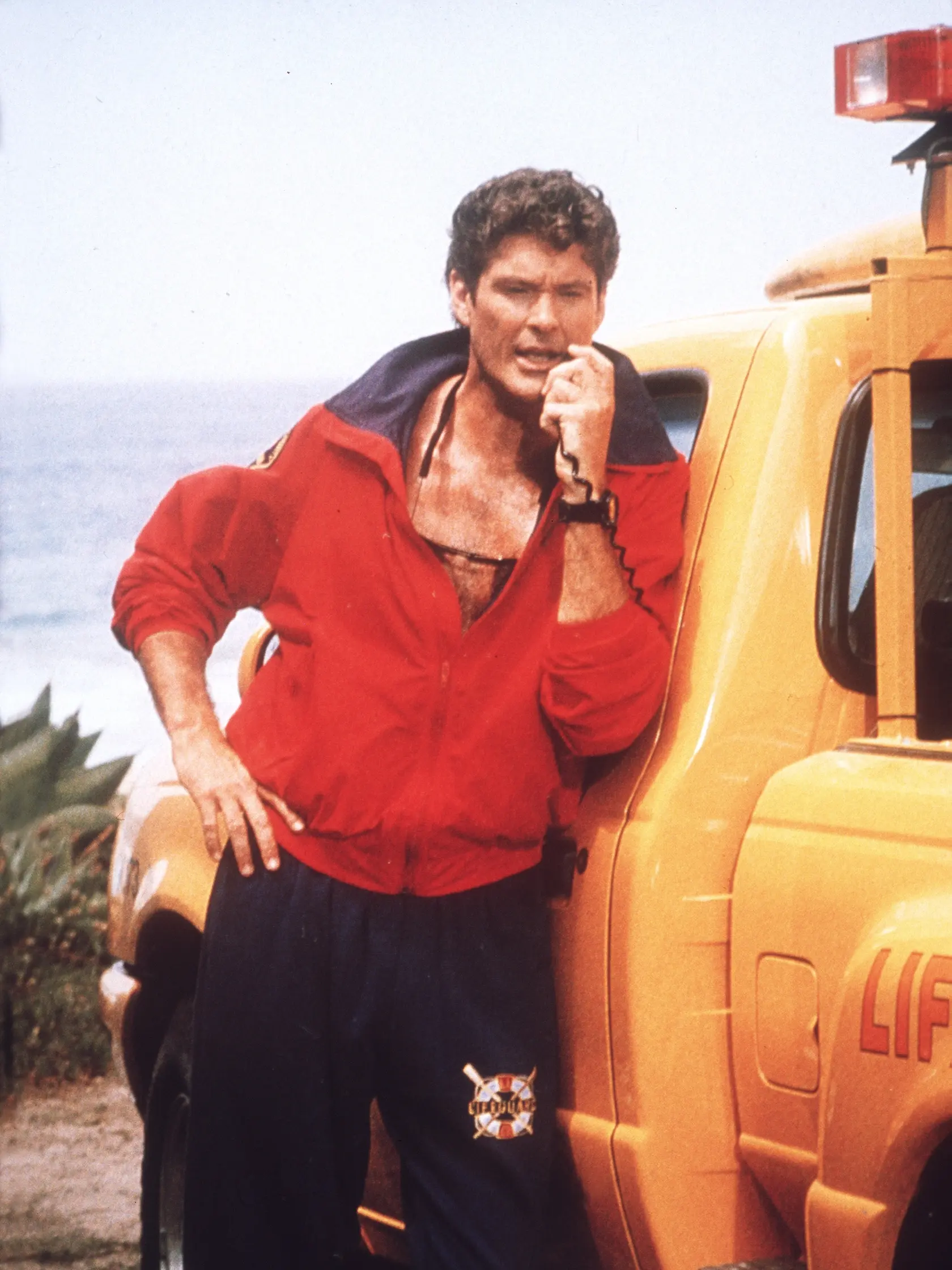 David Hasselhoff