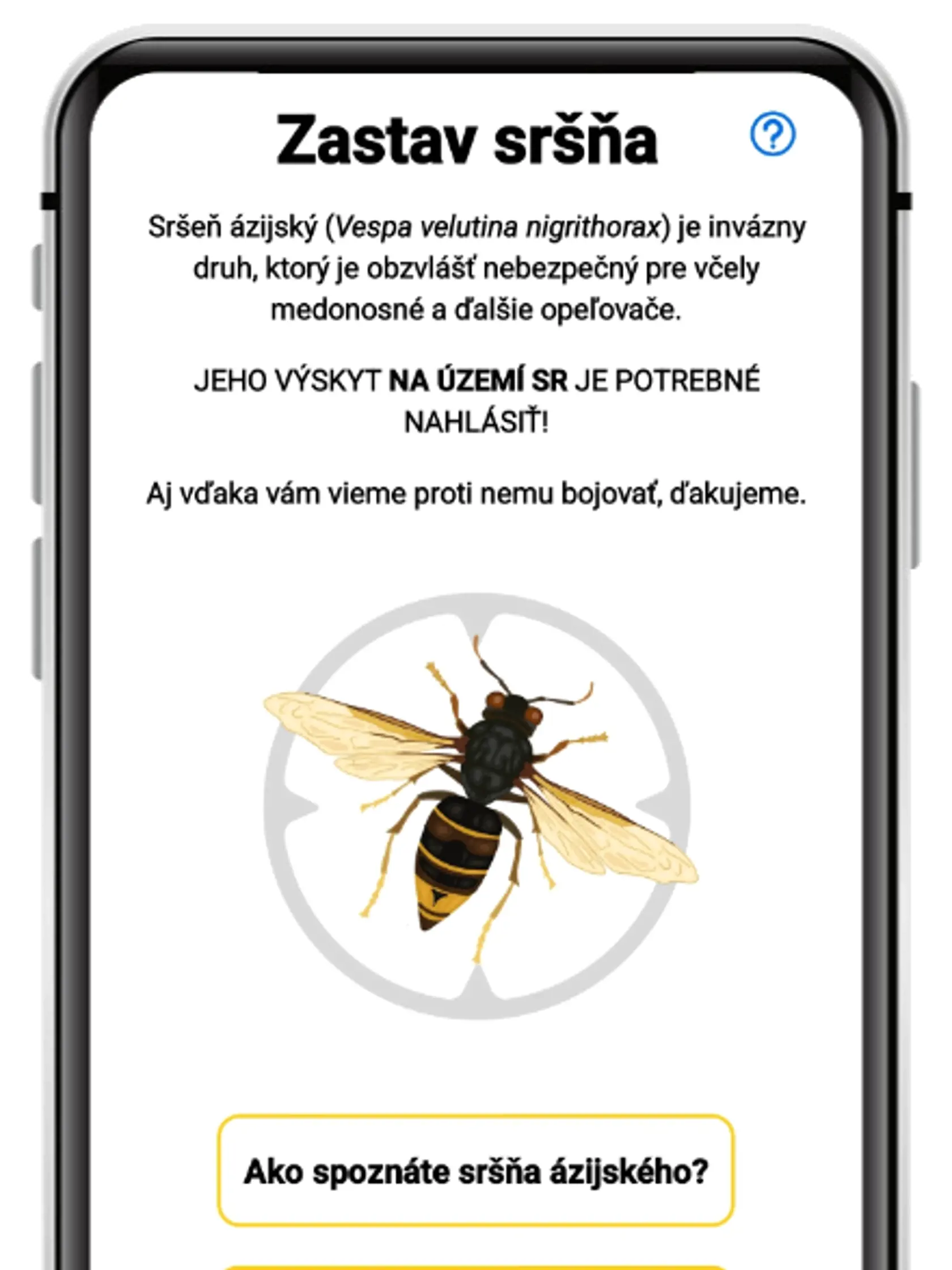 Vďaka mobilnej aplikácii Ekofondu SPP "Zastav sršňa" môžete upozorniť na výskyt sršňa ázijského.