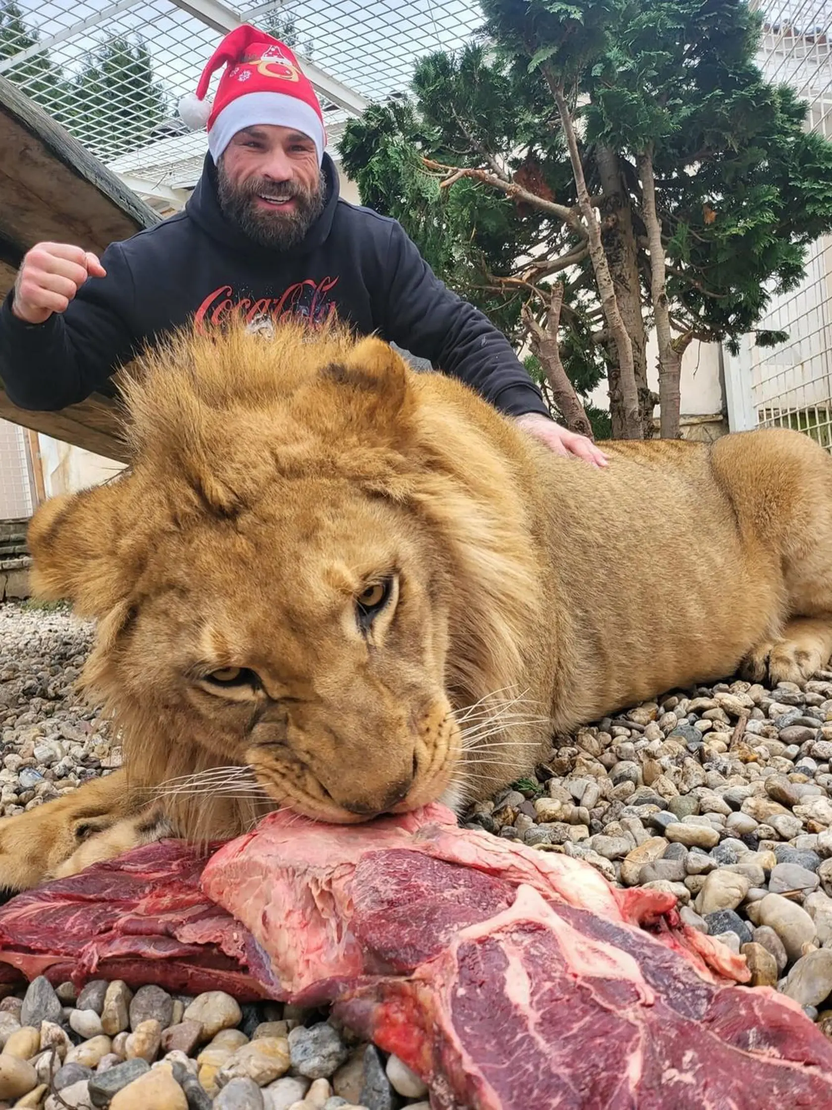 Vémola má vo svojej vile hotovú zoo, v ktorej chová levy či tigre. Lela z divokých zvierat strach nemá.