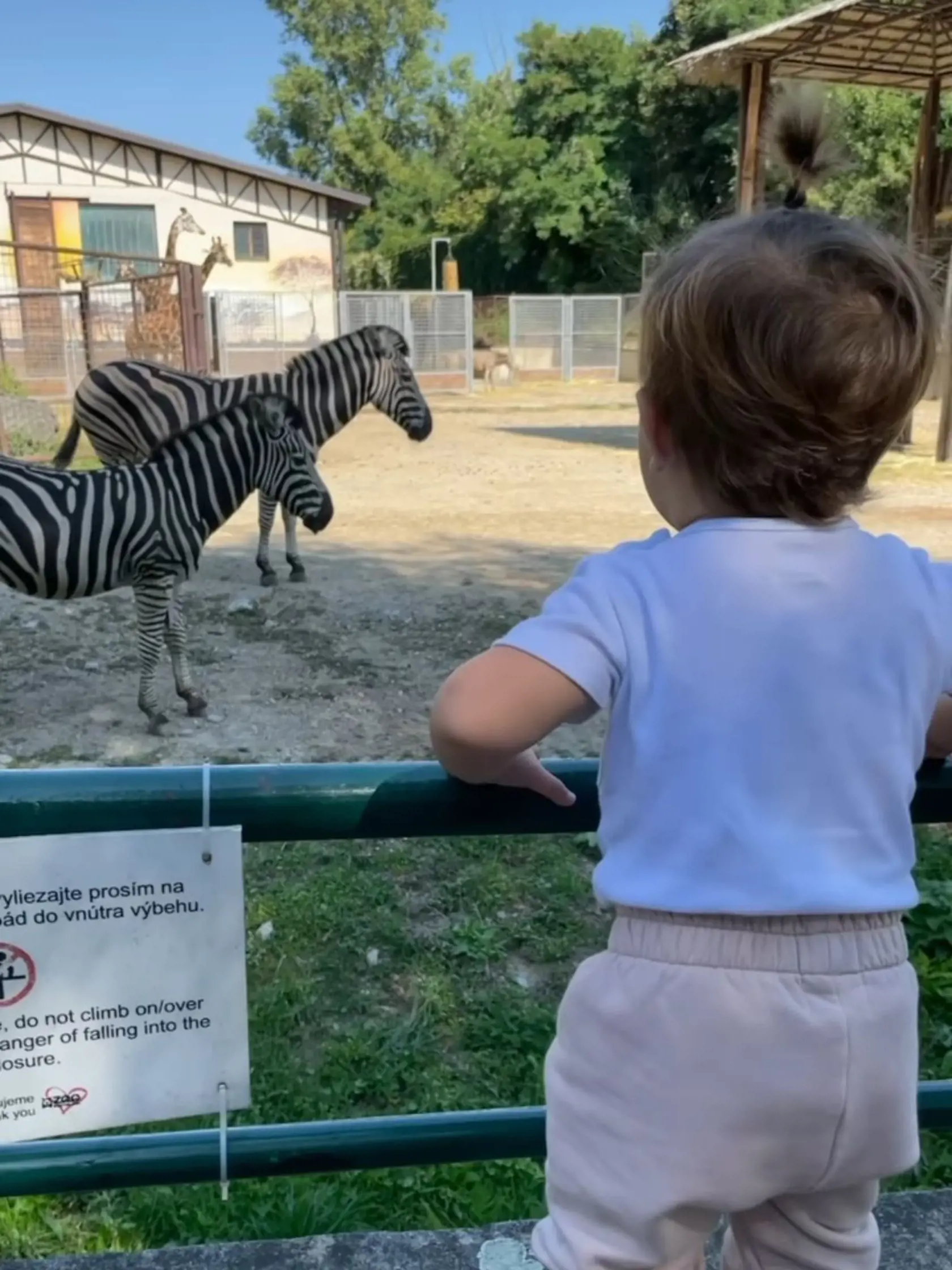 V stredu si Dominika s manželom Michalom a synčekom Jakubkom užili návštevu zoologickej záhrady v Bratislave.