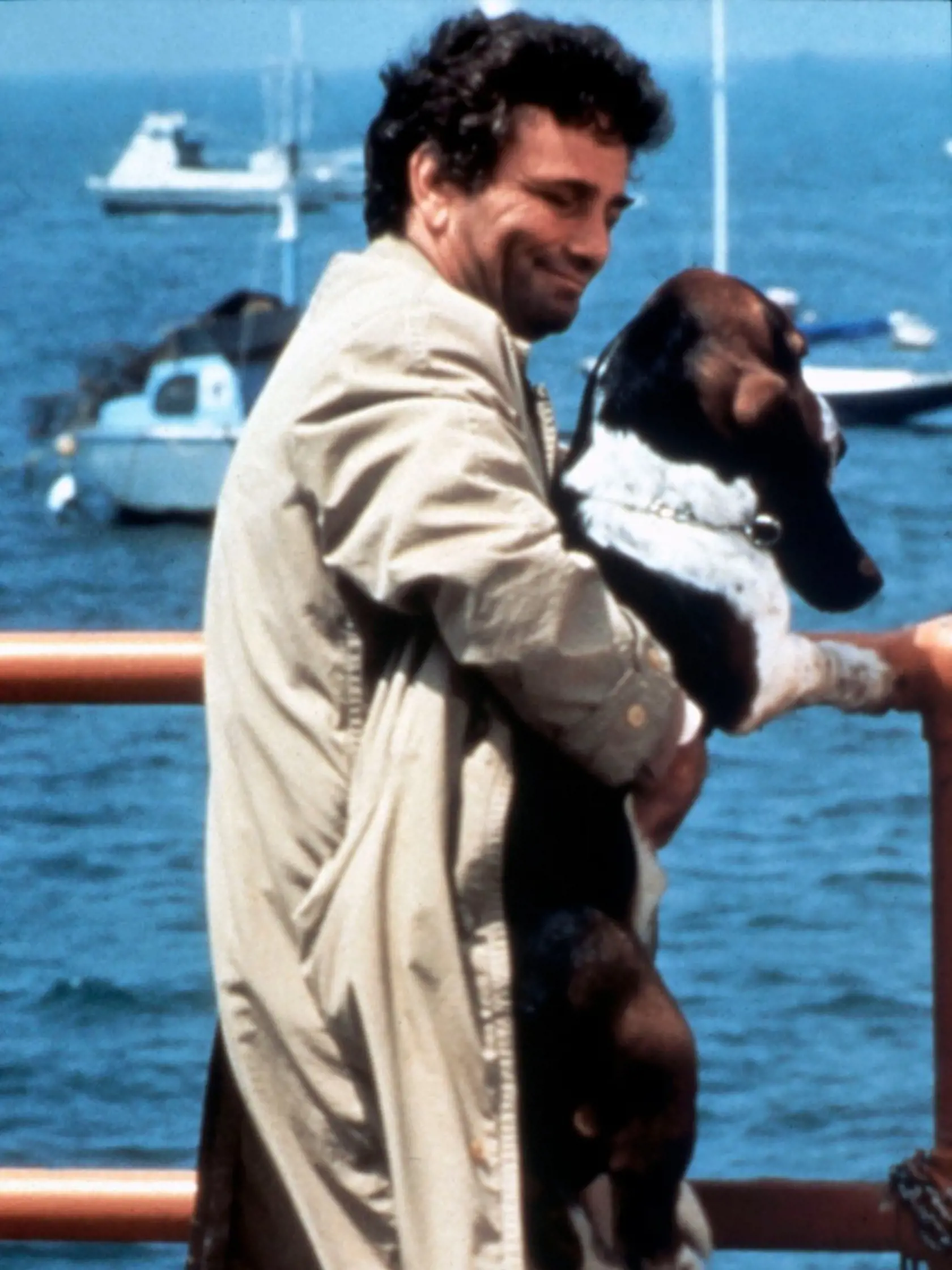 Colombo Peter Falk. Collection Christophel Â© NBC Universal Television, Image: 326001298, License: Rights-managed, Restrictions: Restricted to editorial use related to the film or the individuals involved (producers, directors, authors, actors, etc.) The rights of publicity of any person depicted in the photos are not granted Mandatory credit of the film company and photographer, Model Release: no, Credit line: Profimedia, AFP