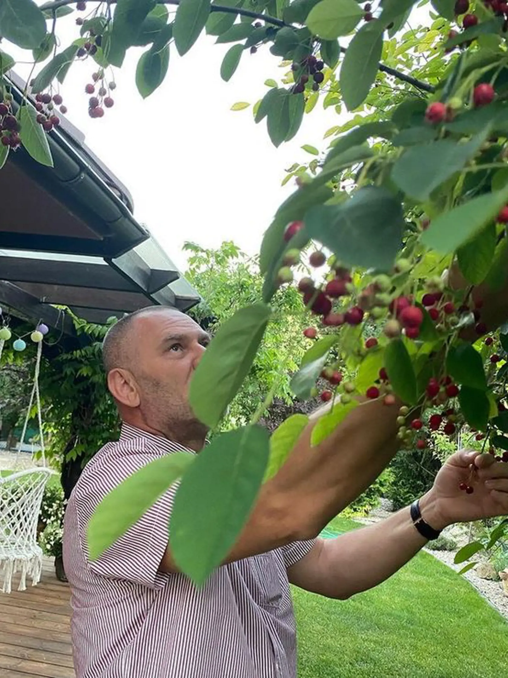 Záhrada herečky Zuzany Vačkovej je dokonalým relaxom - má tam terasu, hojdačku, bazén aj grilovanie.