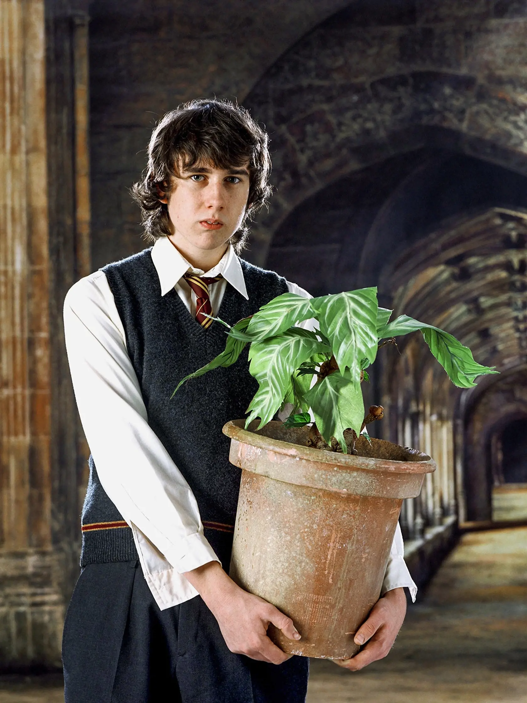 Harry Potter - Neville