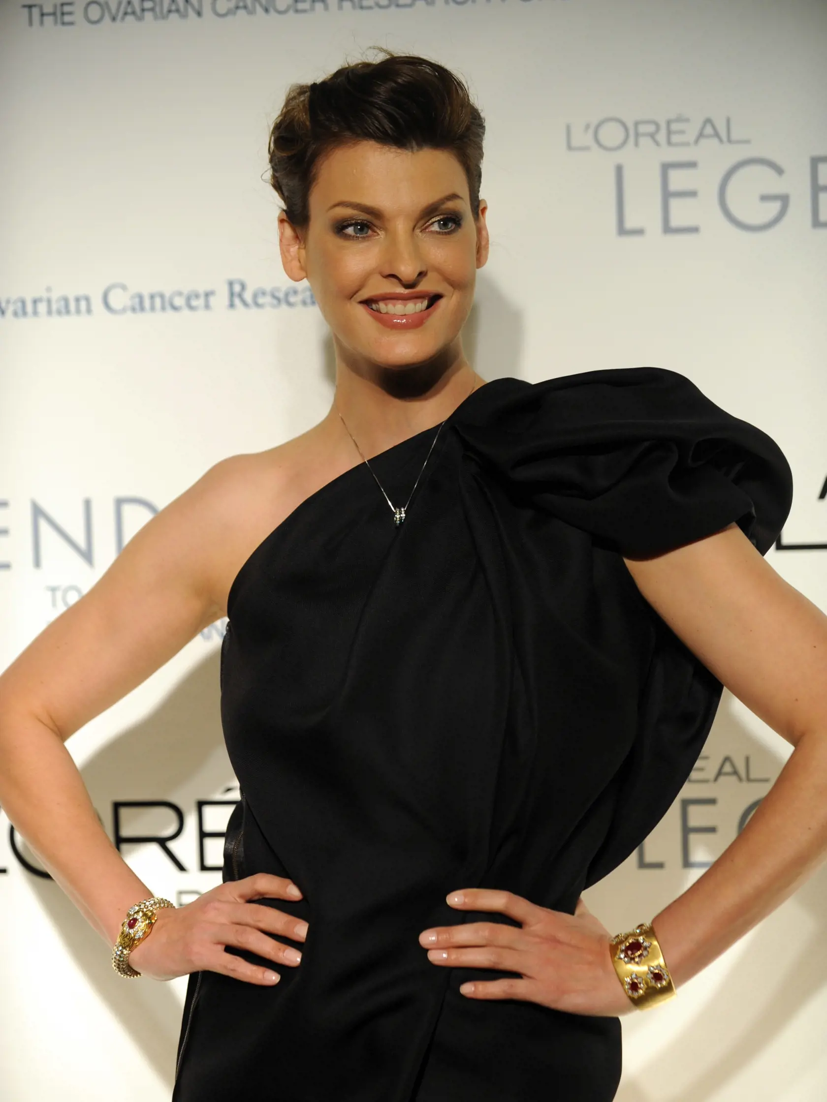 Hovorkyňa kozmetického koncernu L'Oreal  a bývalá topmodelka Linda Evangelista pózuje fotoreportérom po príchode na slávnostný galavečer 10. novembra 2008 v New Yorku.