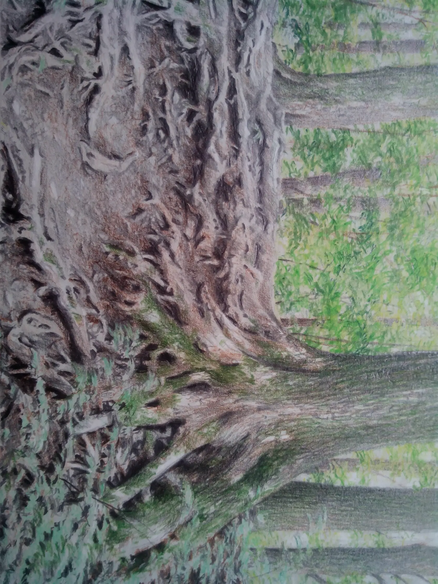Okrem kresieb hradov sa venuje aj prírode. Kreslí farebnými ceruzkami.