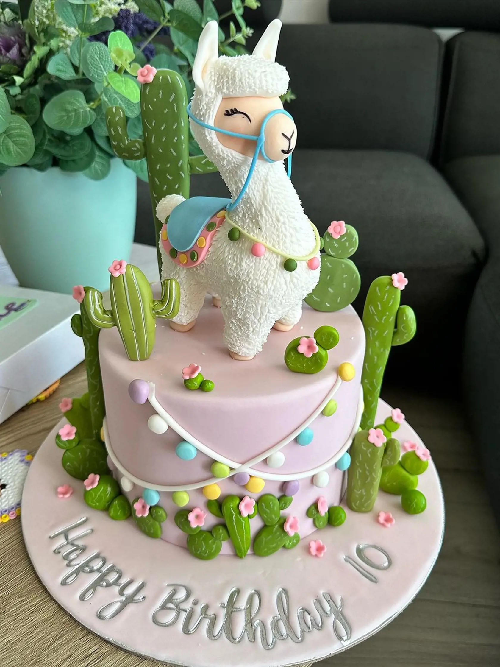 Torta pre Sašku k 10. narodeninám.