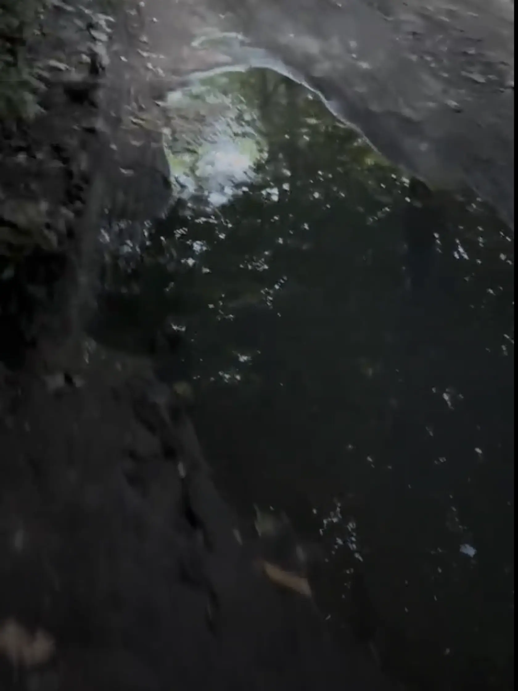 Okolie žumpy, dňa 6.7.2024.