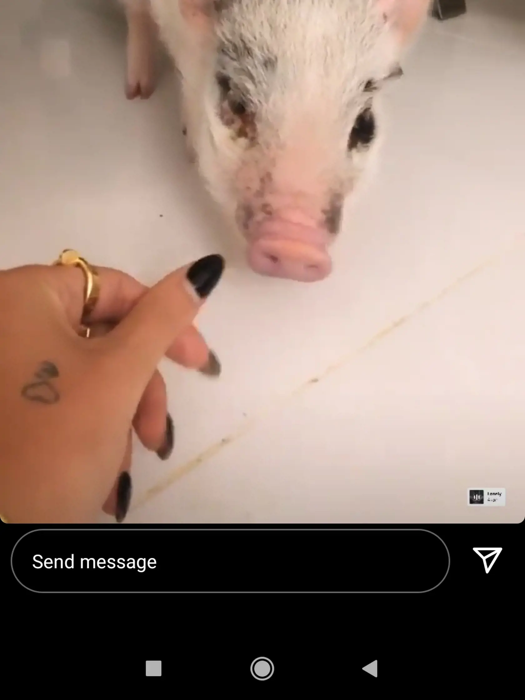 Zuzana Plačková a jej nová láska