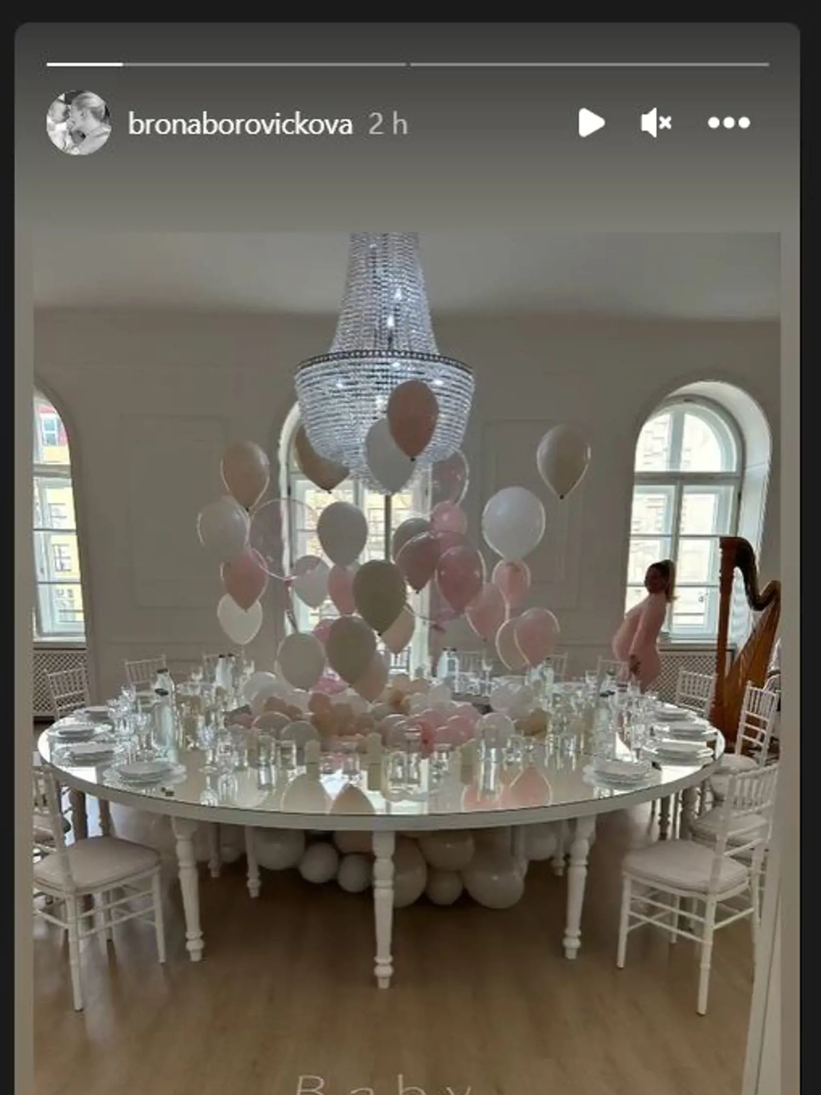 Cibulkovej kamarátky na sociálnej sieti taktiež ukázali, ako to vyzeralo na baby shower. Výzdoba bola už tradične prepracovaná do detailov.