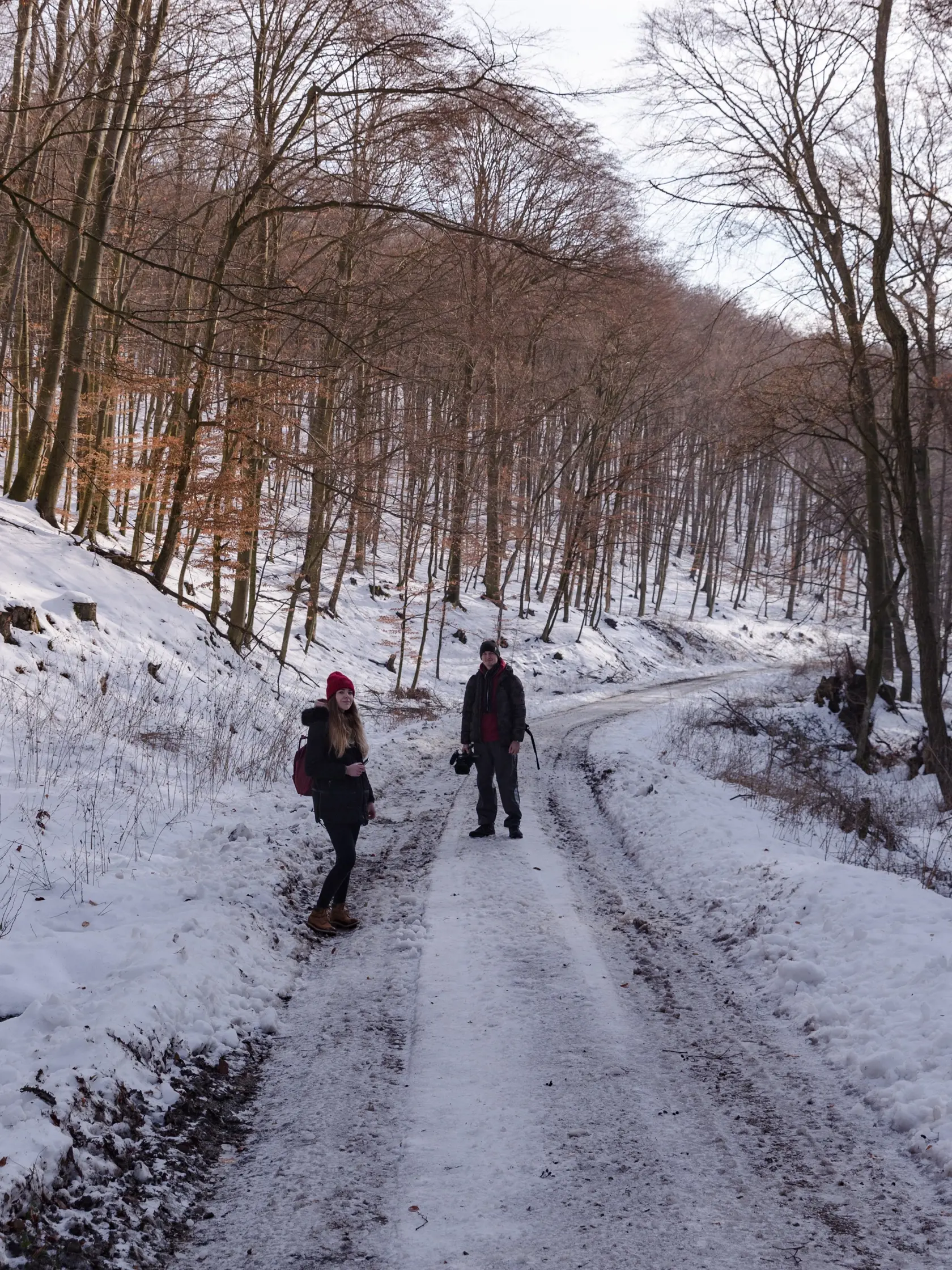 Na símke je turistická cesta v pohorí tribec, smerom na cierny hrad