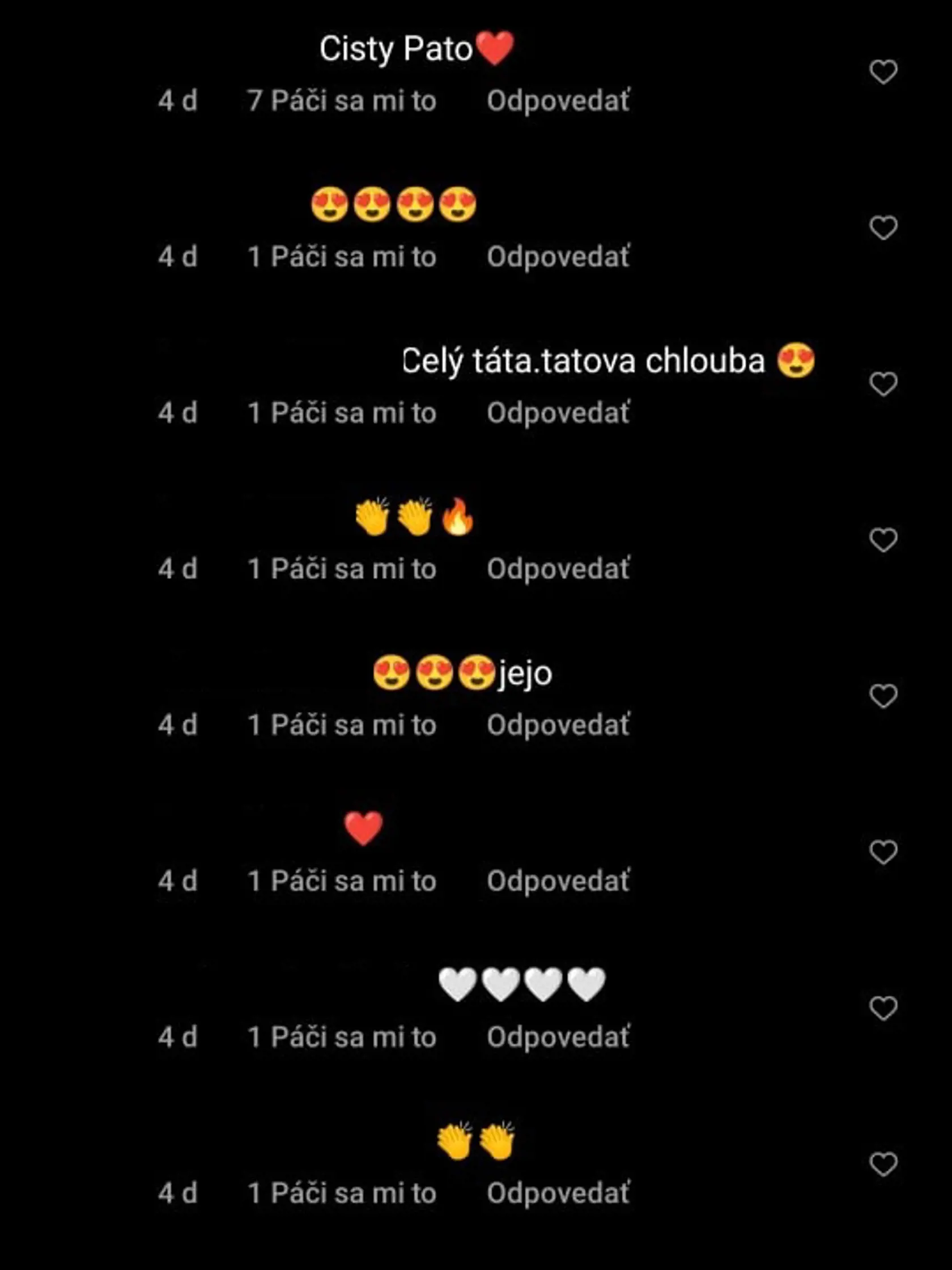 Podľa niektorých fanúšikov je malý Sanel celý Patrik.