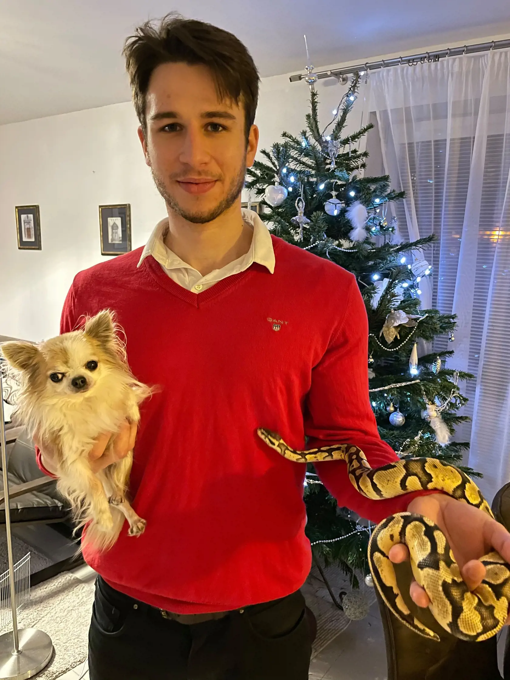 Ďalší stranícky kolega Andrej Stančík (26) sa zas vyjadril, že hoci teraz nie je správny chvíľa, ale nápad je dobrý. "Politici, ktorí sa proti tomu stavajú sú v kuloároch známi tým, že takéto služby sami vyhľadávajú," uviedol Stančík v súvislosti s tým, že Šudíkov nápad skritizovali opoziční poslanci.