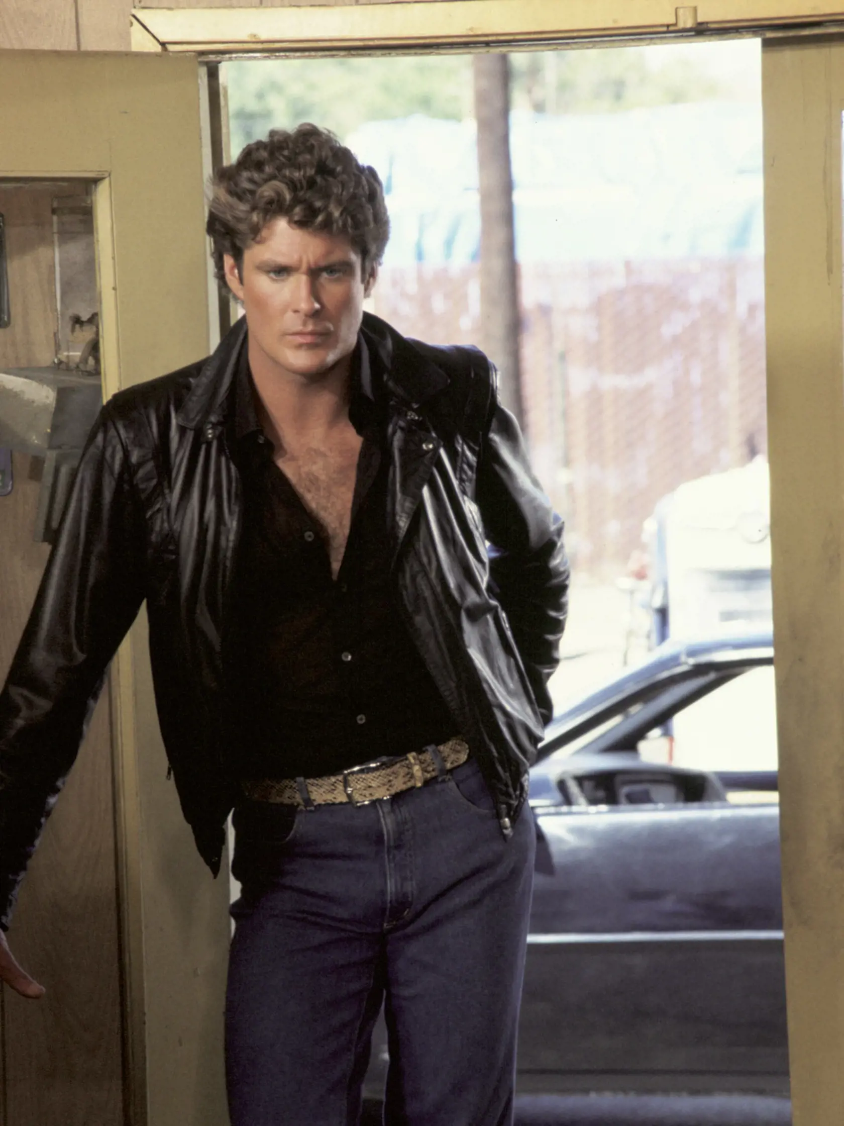 David Hasselhoff