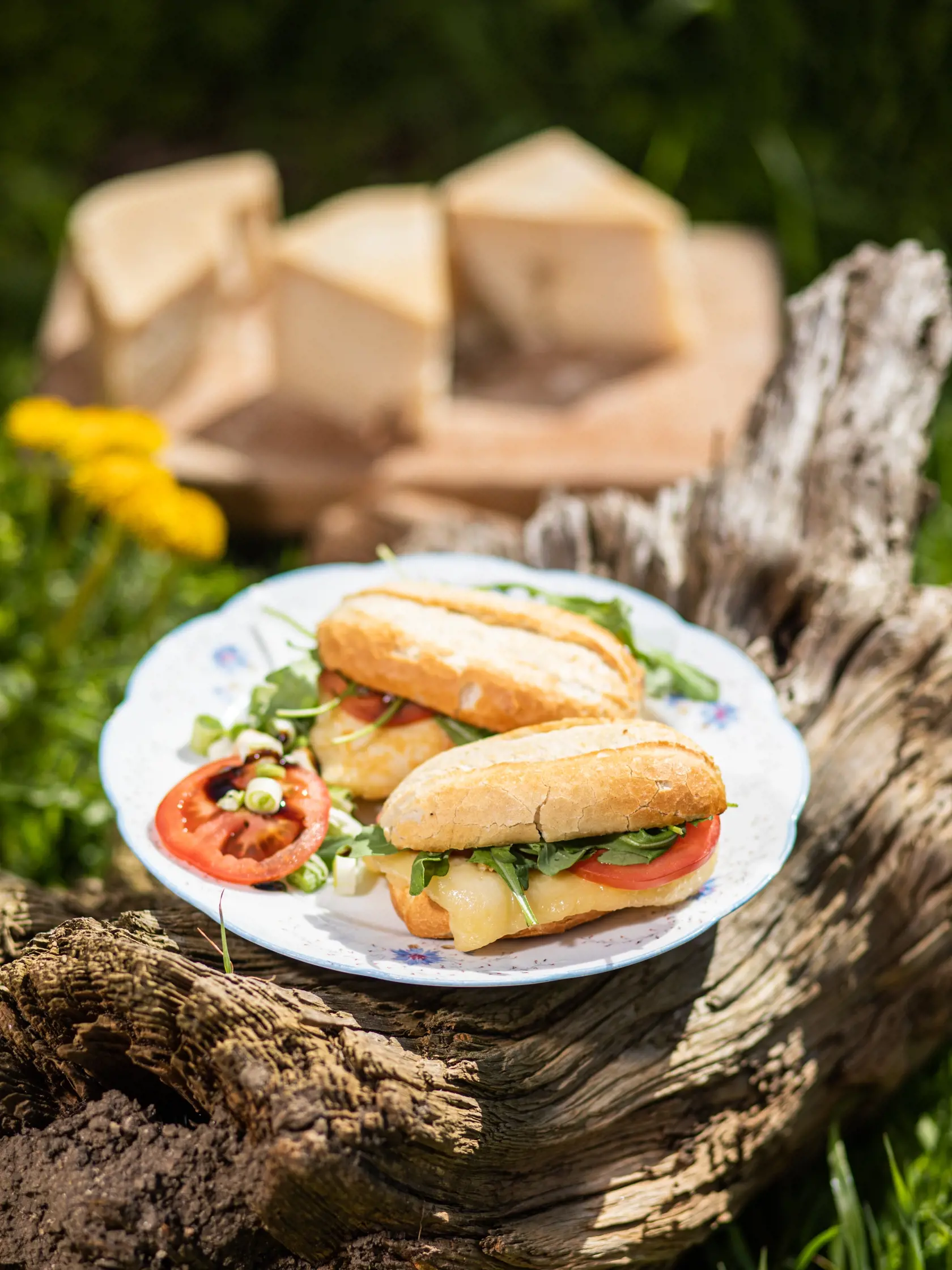 Bageta s grilovaným kozím syrom halloumi a zeleninou.