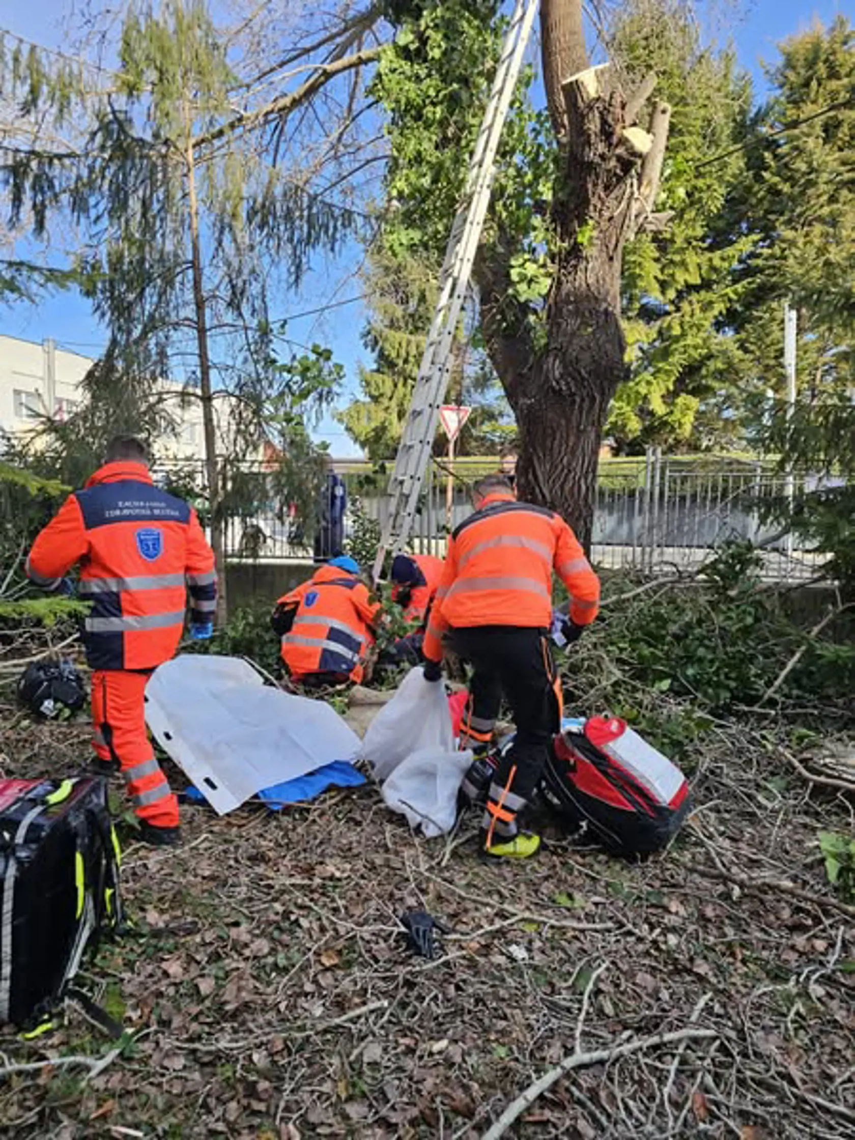 Záchranári zo základne Krištof 01 v Bratislave pomáhali dnes dopoludnia v Šamoríne mužovi po páde zo stromu.