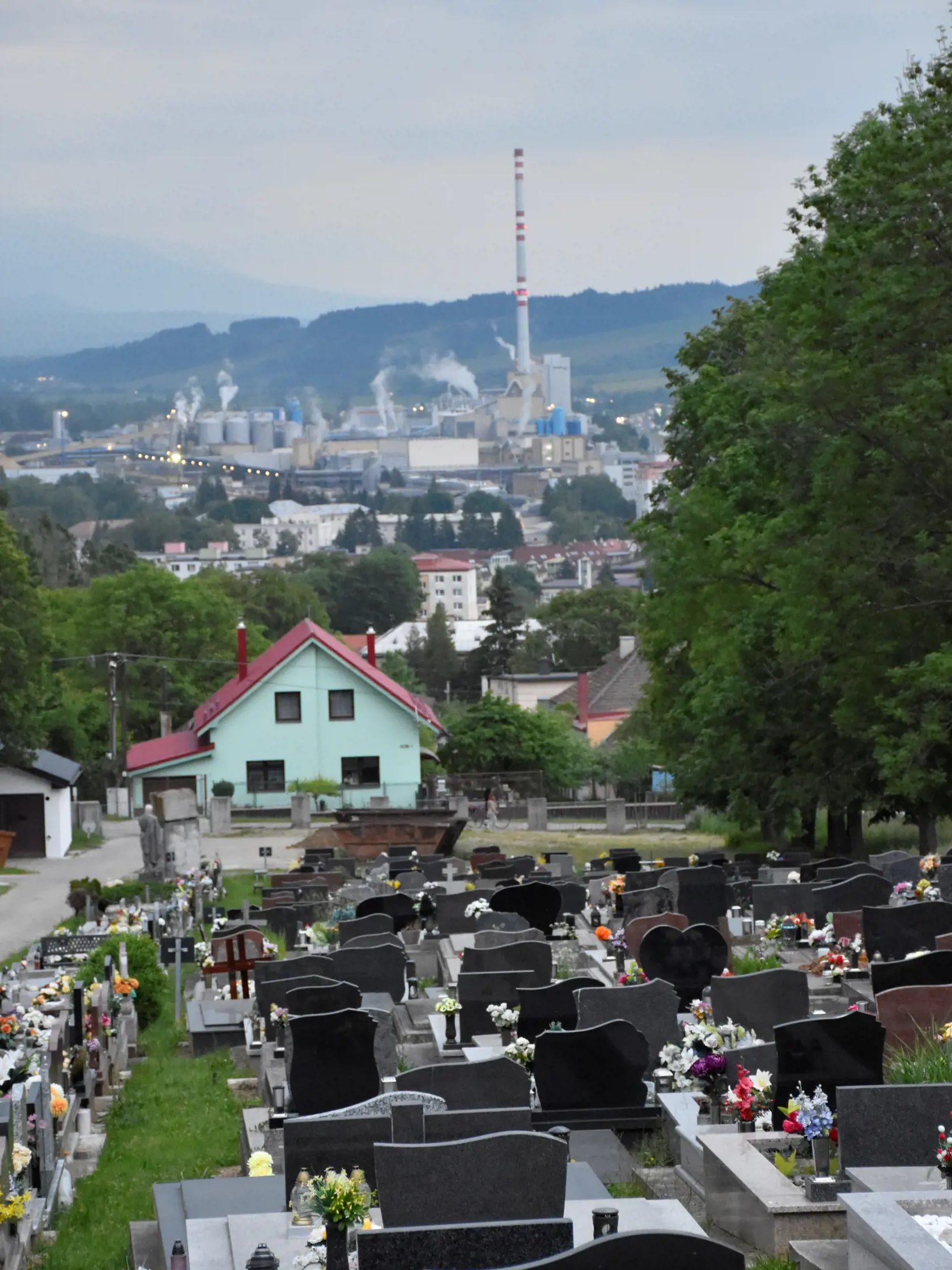 Pohyb najmenej štyroch medveďov zaevidoval v týchto dňoch zásahový tím Štátnej ochrany prírody (ŠOP) v areáli mestského cintorína v Ružomberku. Potvrdil to Dušan Krupa zo zásahového tímu Západ. Situácia je podľa jeho slov dosť vážna, lokalitu monitorujú. Na snímke ružomberský cintorín, 5. júna 2023. FOTO TASR - Miroslava Mlynárová