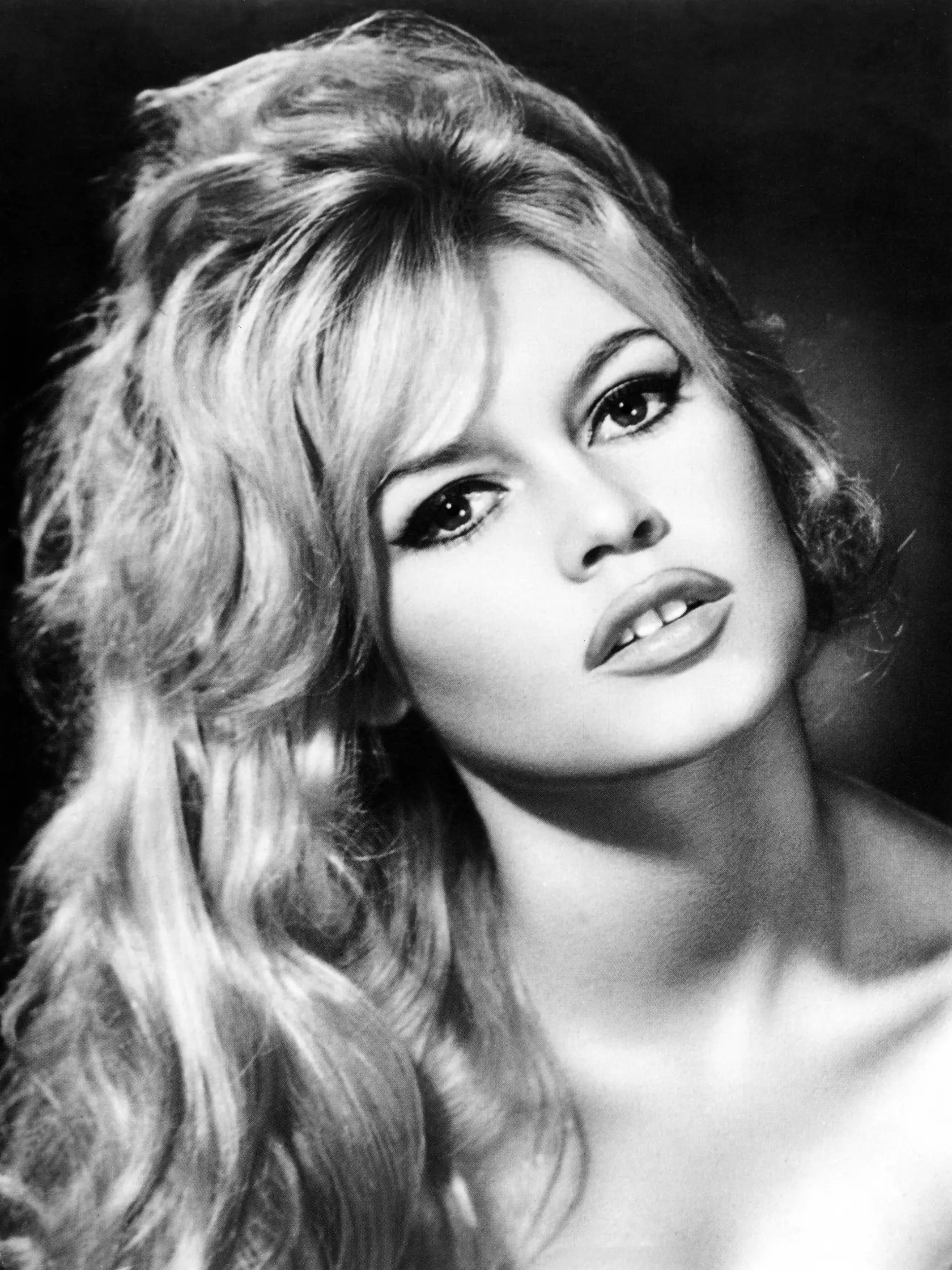 Brigitte Bardot 