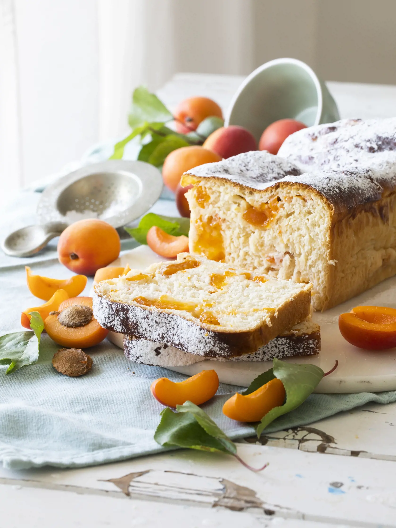 marhuľová kysnutá babka