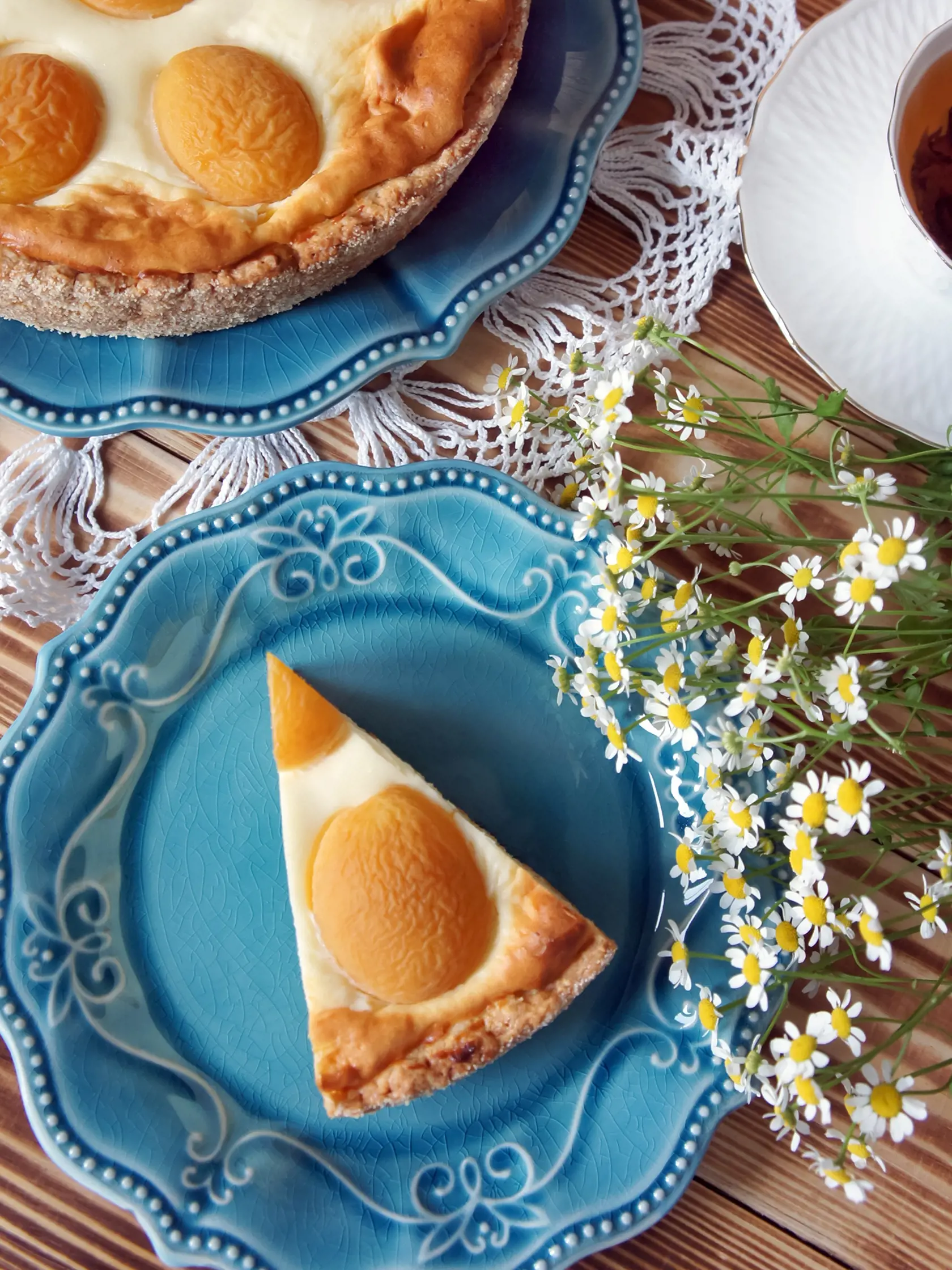 Cheesecake s tvarohom a marhuľami