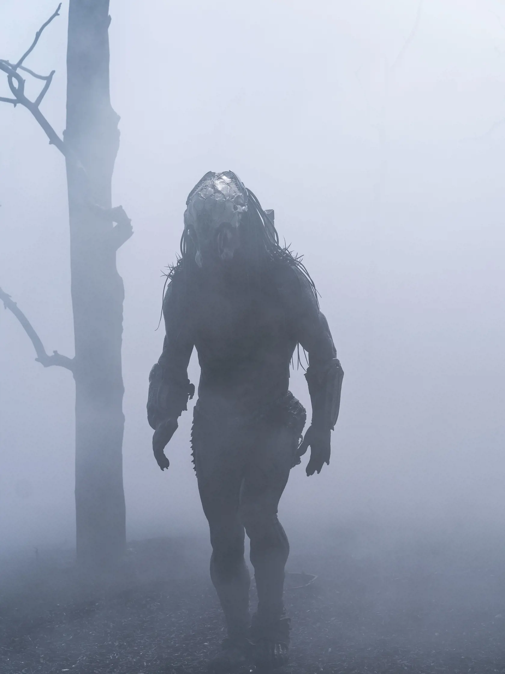 Akčný triler Predátor: Korisť (v originále "PREY") sa odohráva vo svete národa Komančov pred 300 rokmi. Hlavnou postavou je domorodá bojovníčka Naru, ktorá sa kvôli túžbe ochrániť svoj kmeň postaví doposiaľ najhrozivejšiemu protivníkovi – mimozemskému lovcovi s vyspelým arzenálom zbraní.