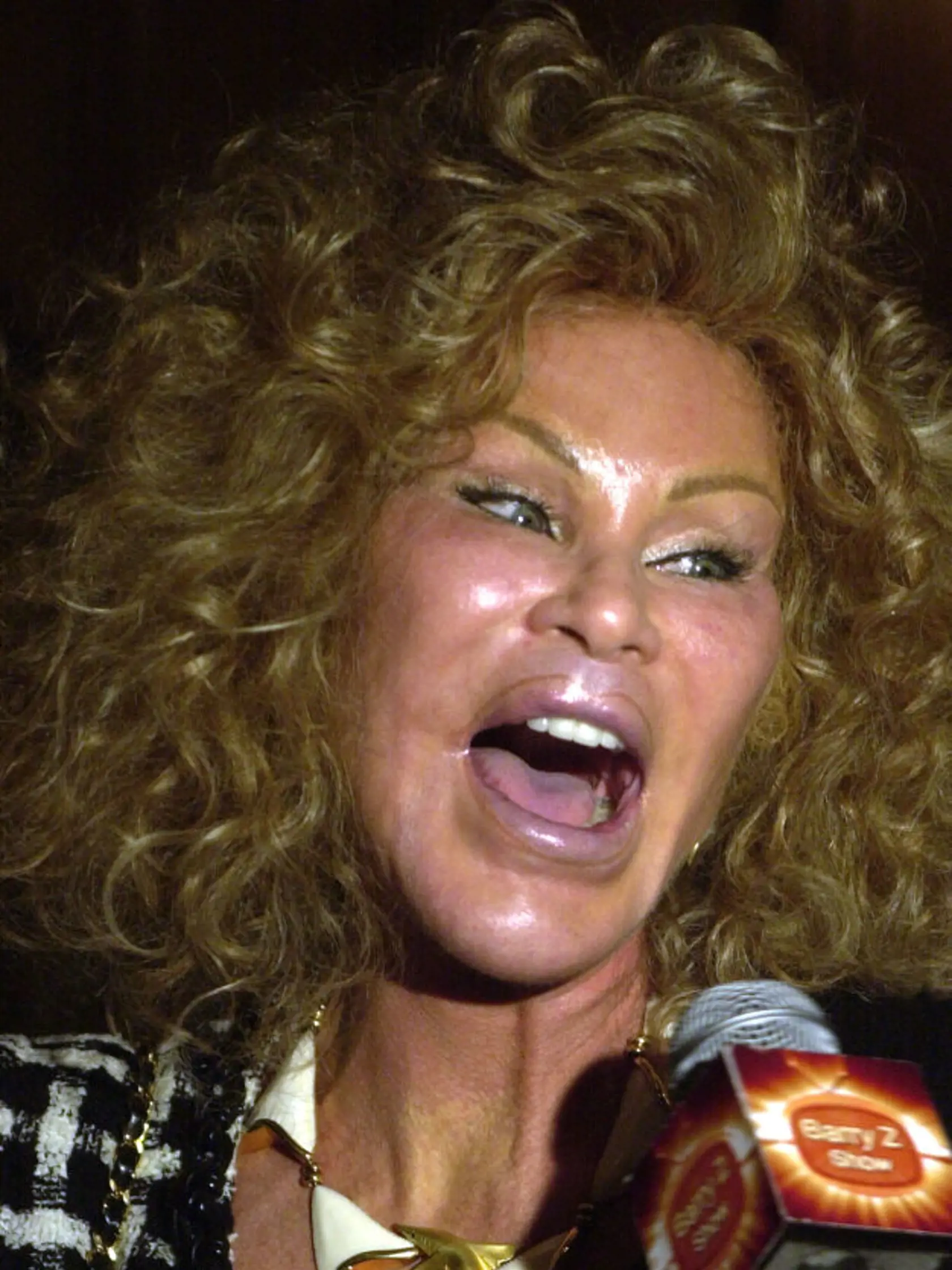 Jocelyn Wildenstein