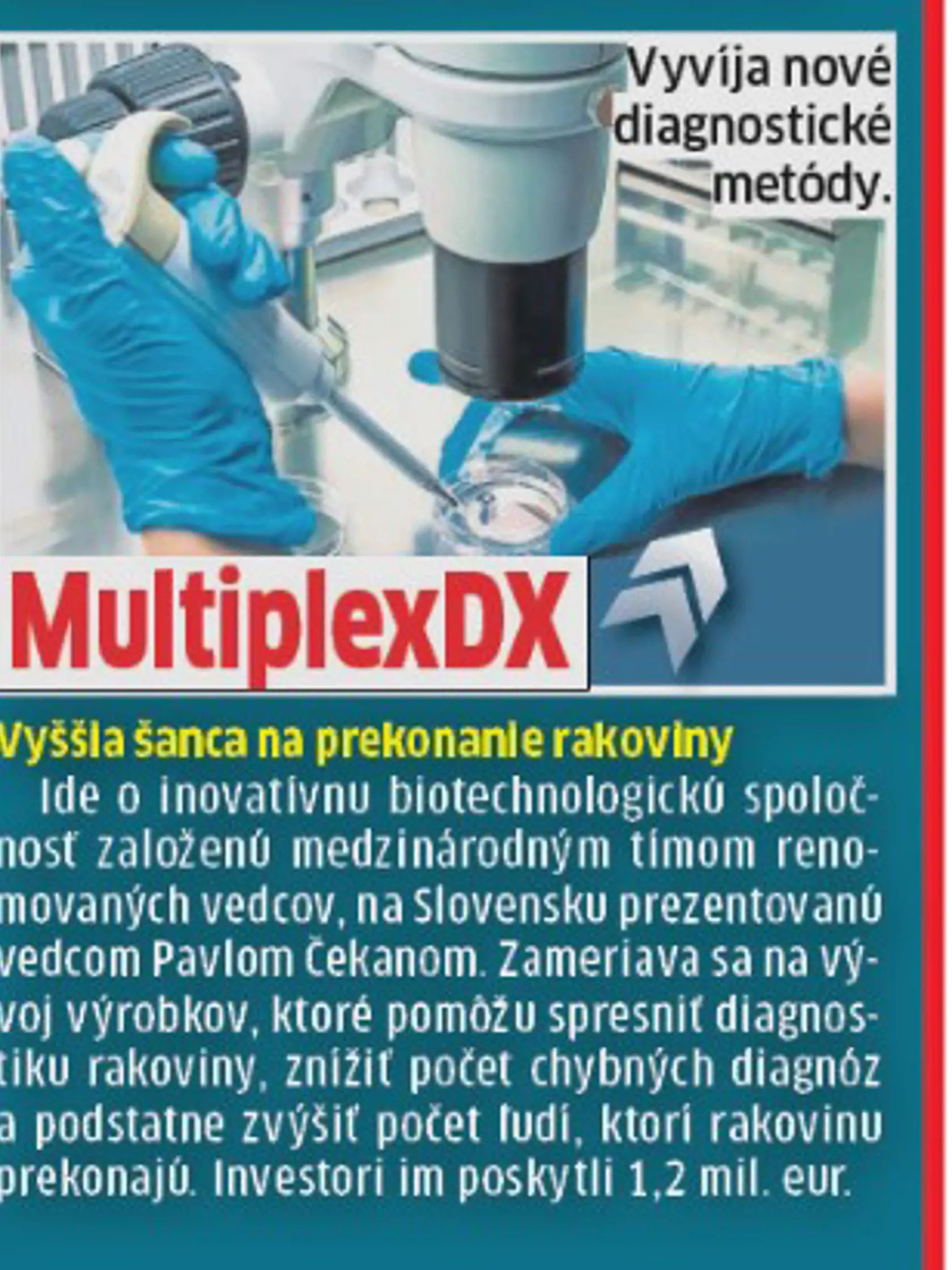 Úspešní aj bez pomoci štátu.