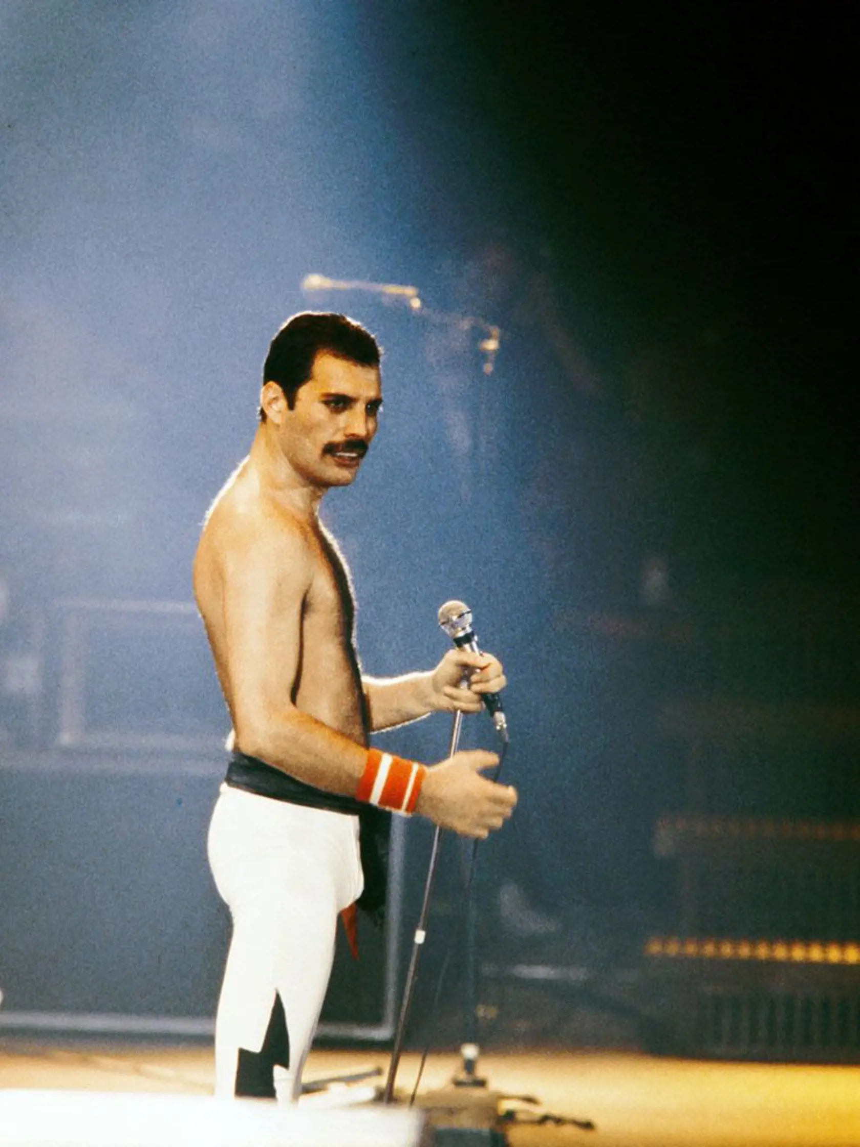 Jedným z najznámejších ľudí, ktorí chorobe podľahli, bol Freddie Mercury. Zomrel v novembri 1991. 