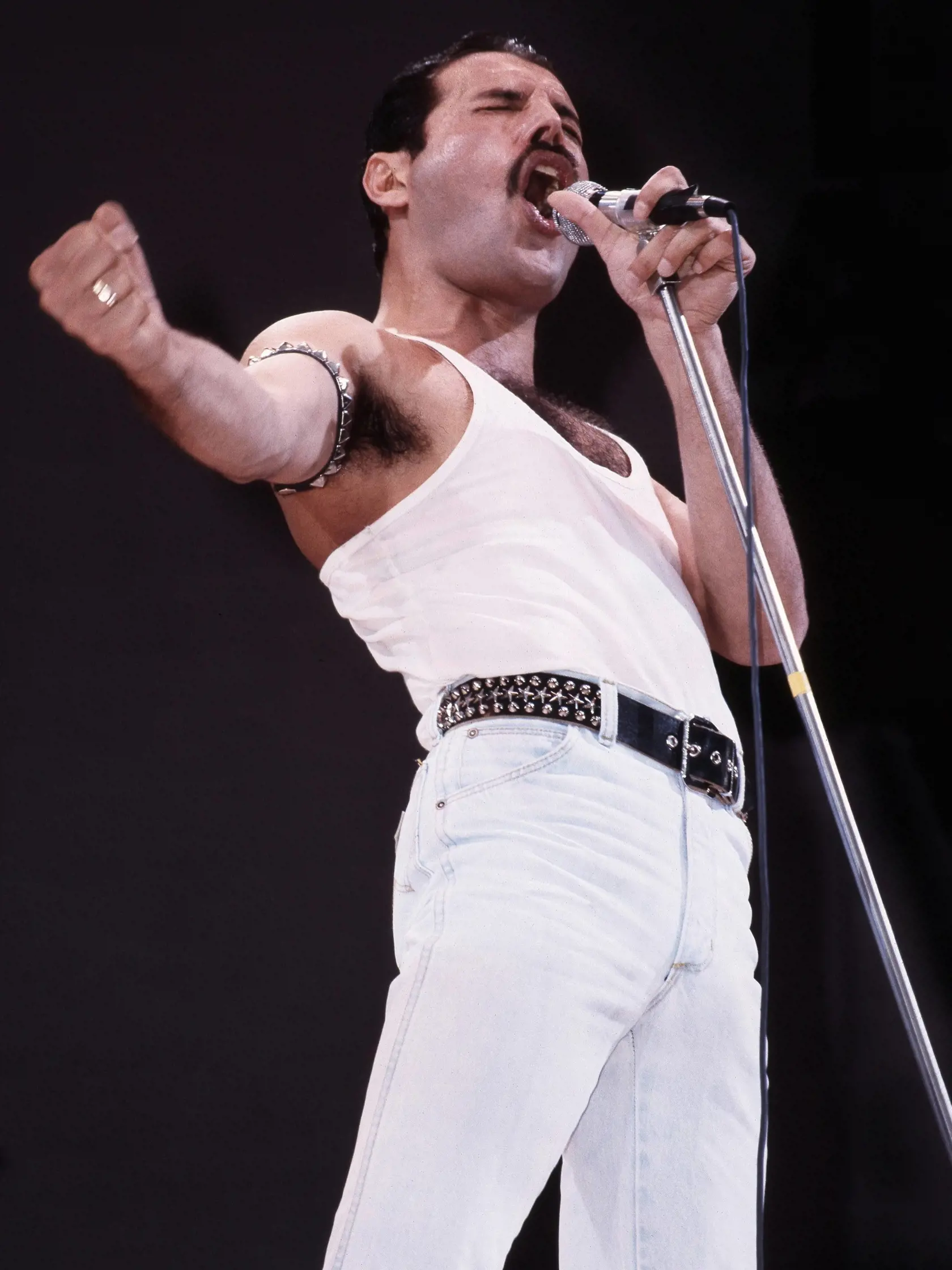 Freddie Mercury