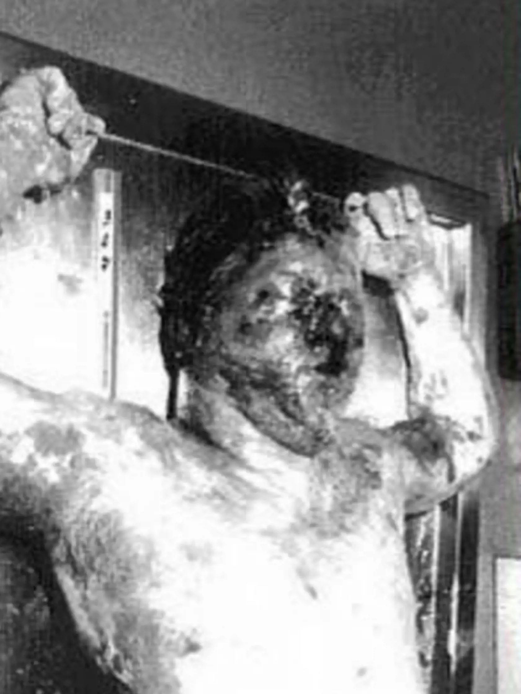 O malých podvodníkov a vrahov sa postaral v roku 1962 a jeho počin bol natoľko krutý, že sa stal inšpiráciou známej mučiacej scény kultového filmu Kasíno z roku 1995.