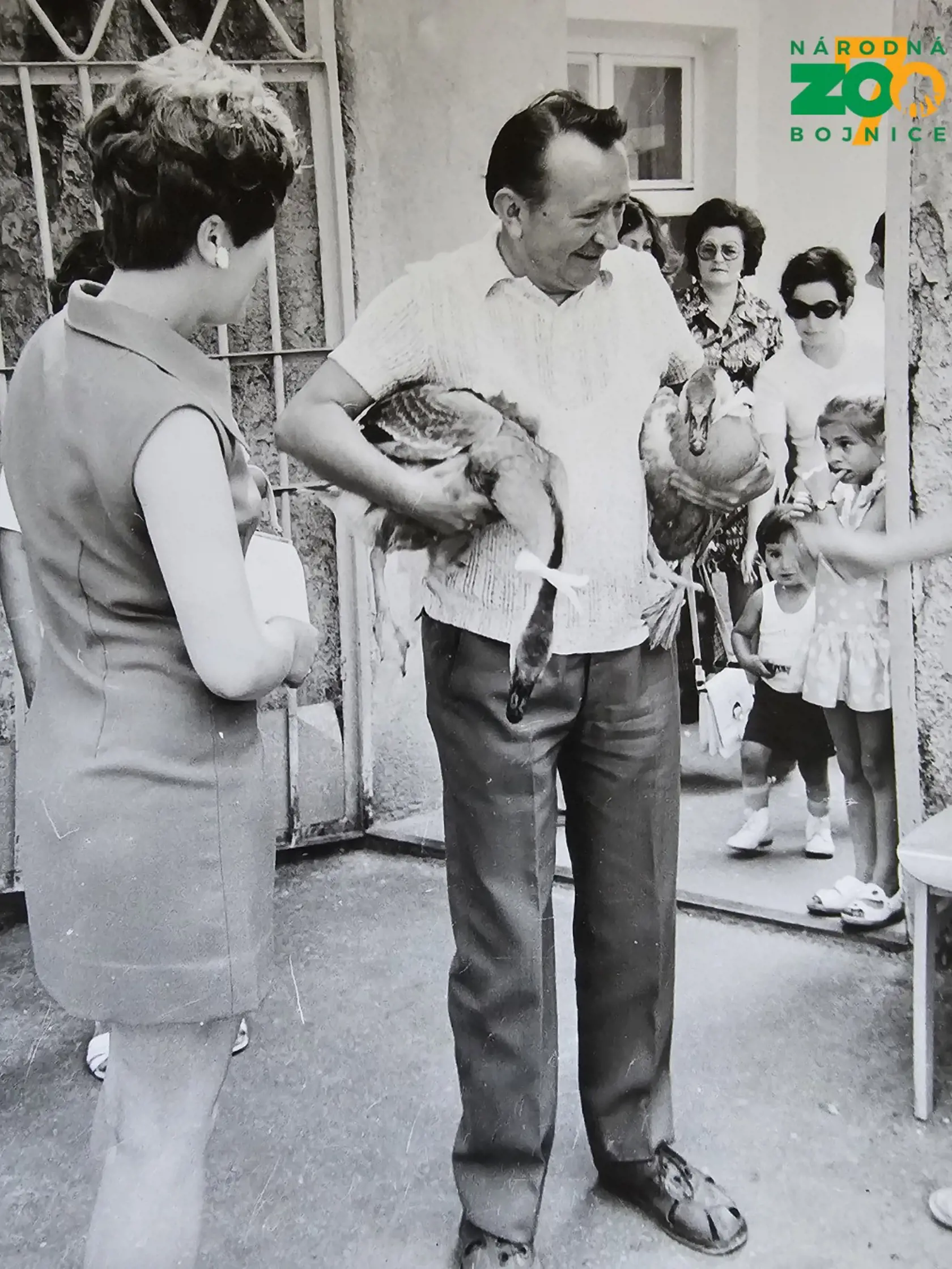 Zoo zverejnila unikátne zábery z minulosti.