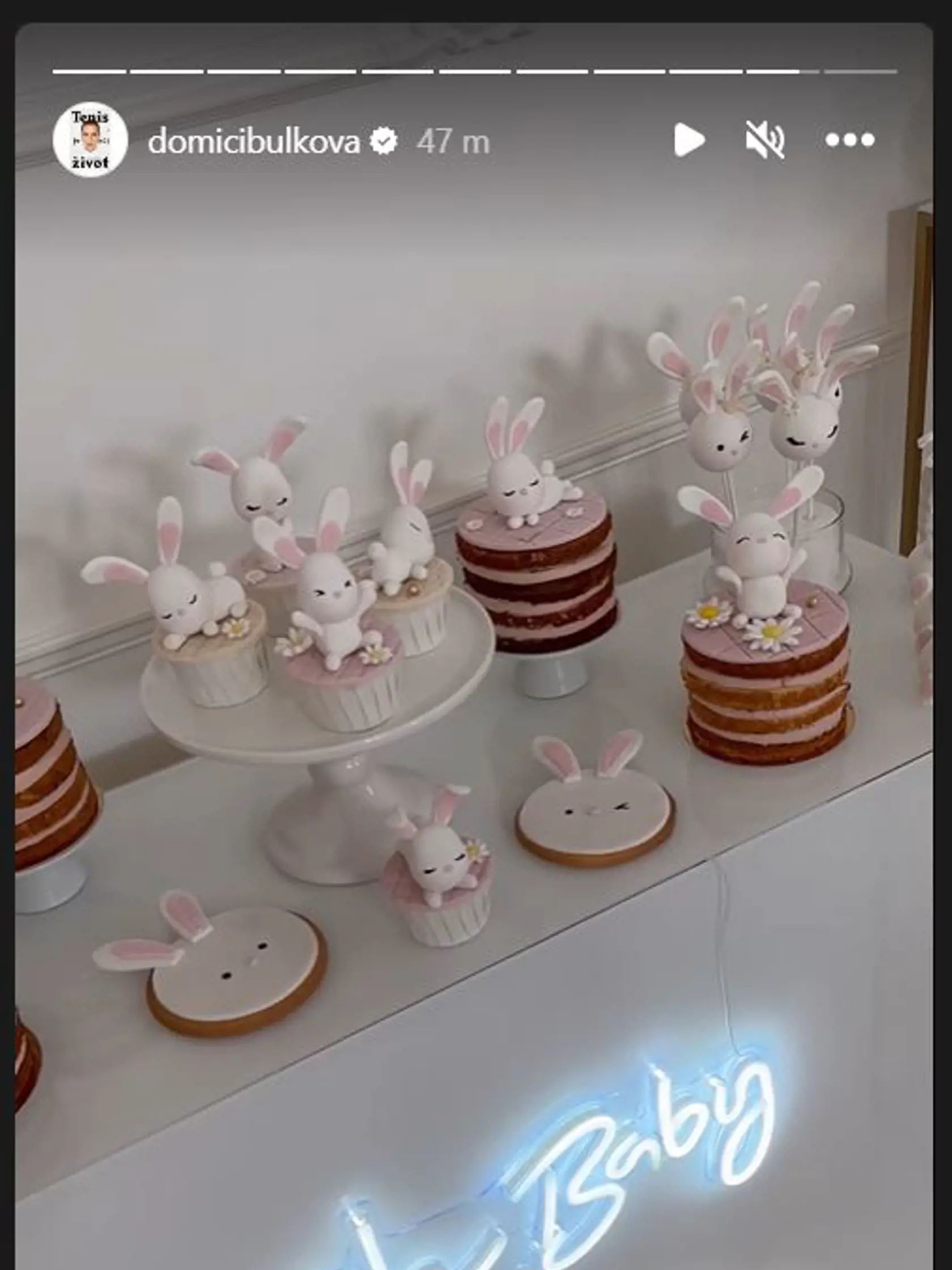 Cukrovinky a viaceré detaily na baby shower sa niesli v zajačikovom štýle.