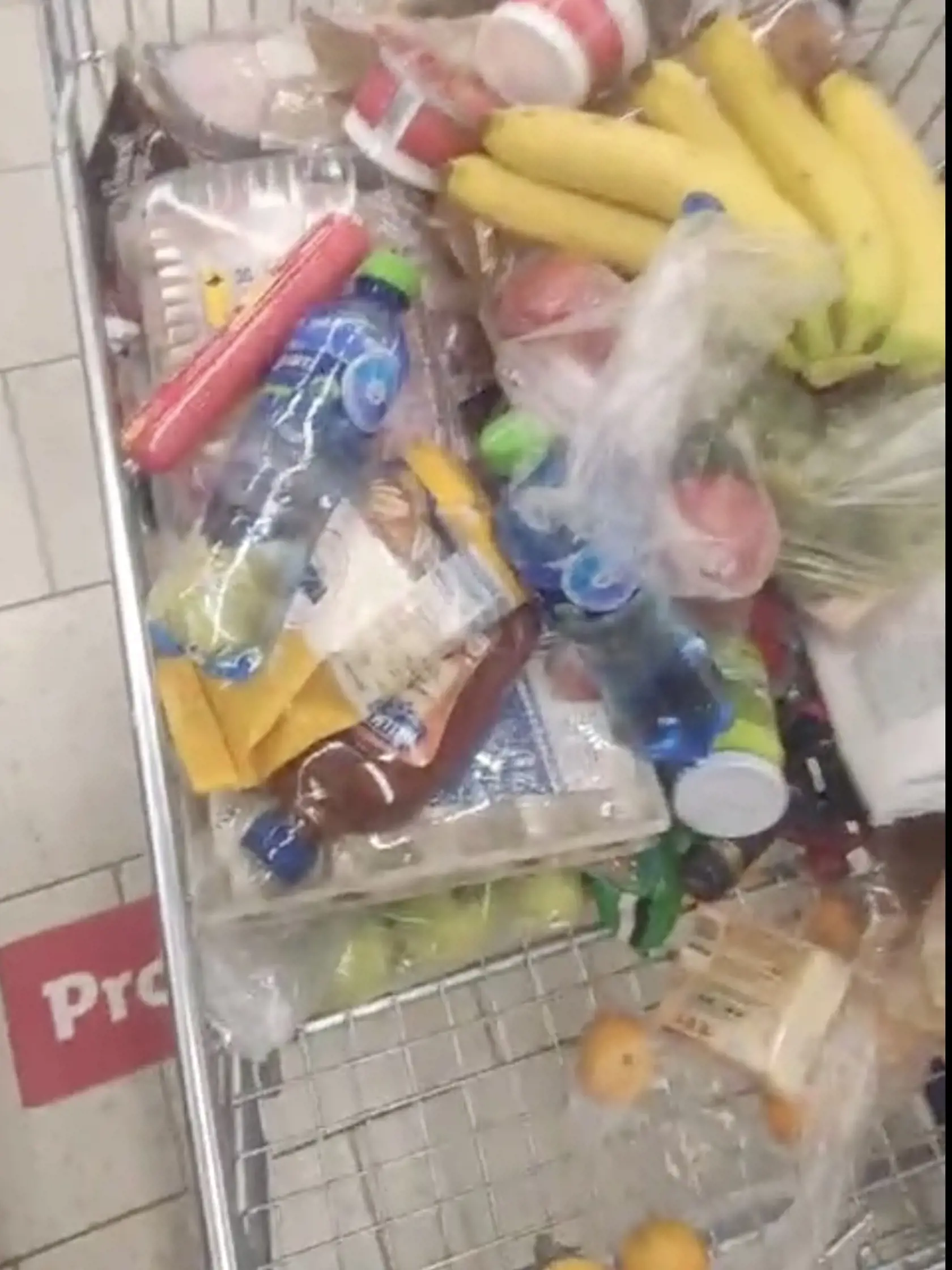 Naložili si plné vozíky potravín.