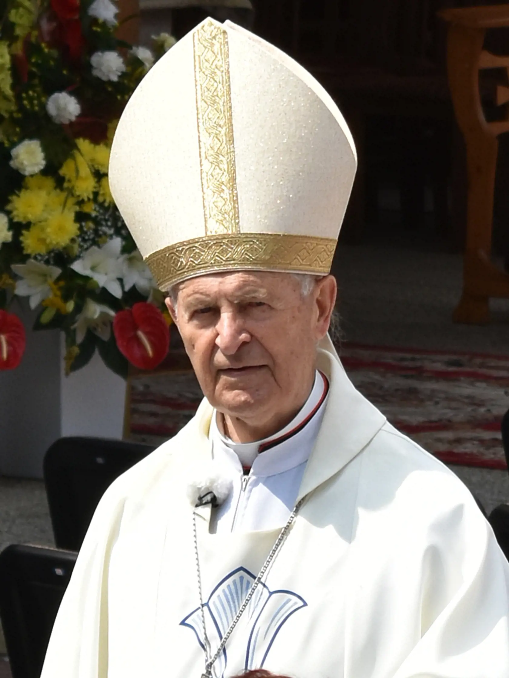 Šestnásť rokov stál na čele Kongregácie pre evanjelizáciu národov.